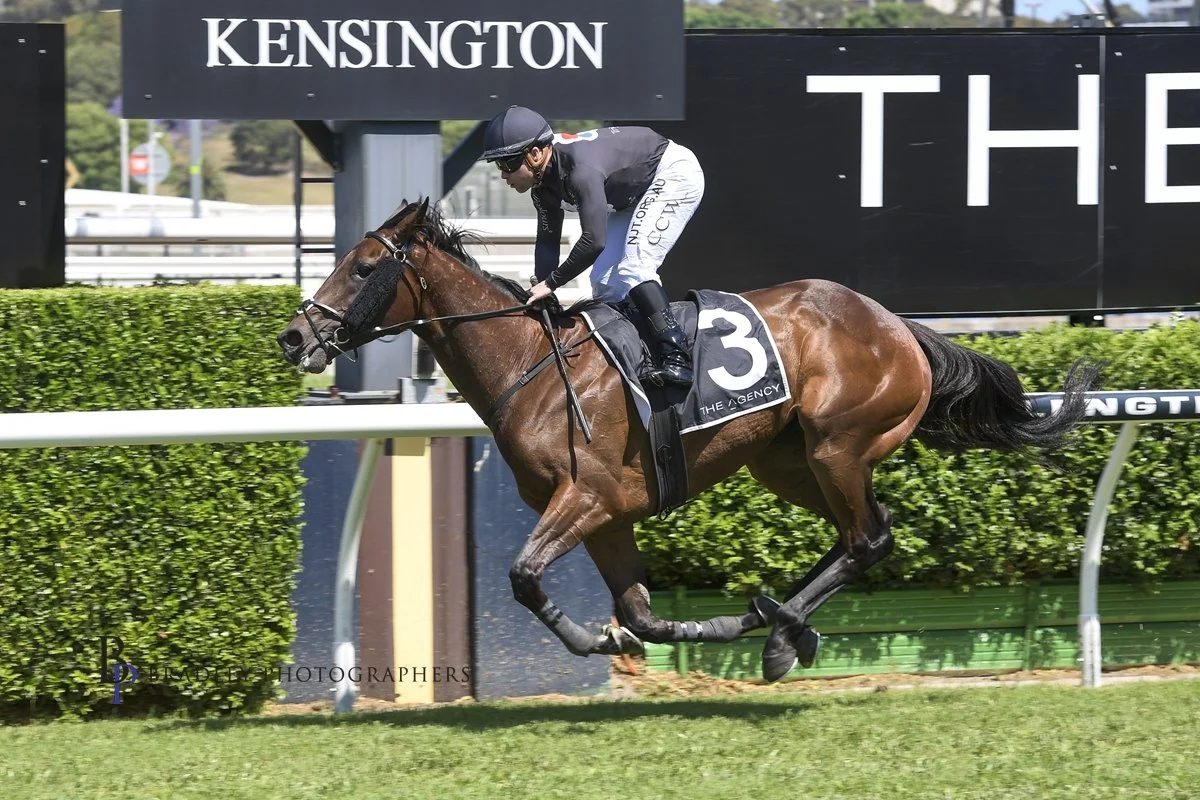 Miss Moana, Tricolours Racing’s foundation mare, racing at Randwick