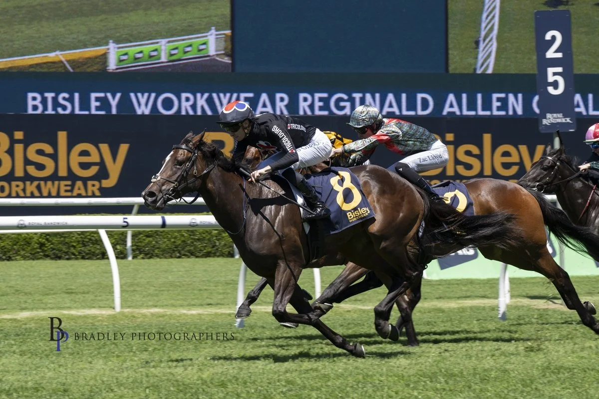Beyond The Reef wins the Group 3 Reginald Allen Quality at Randwick
