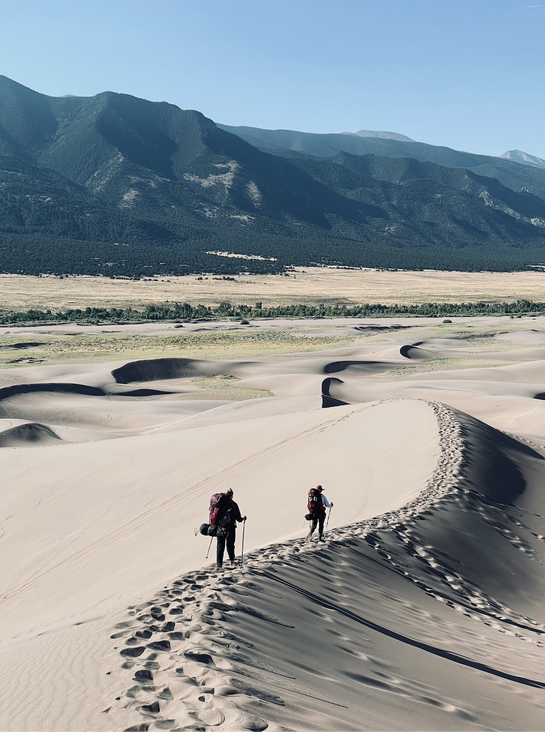 Therapeutic Photography