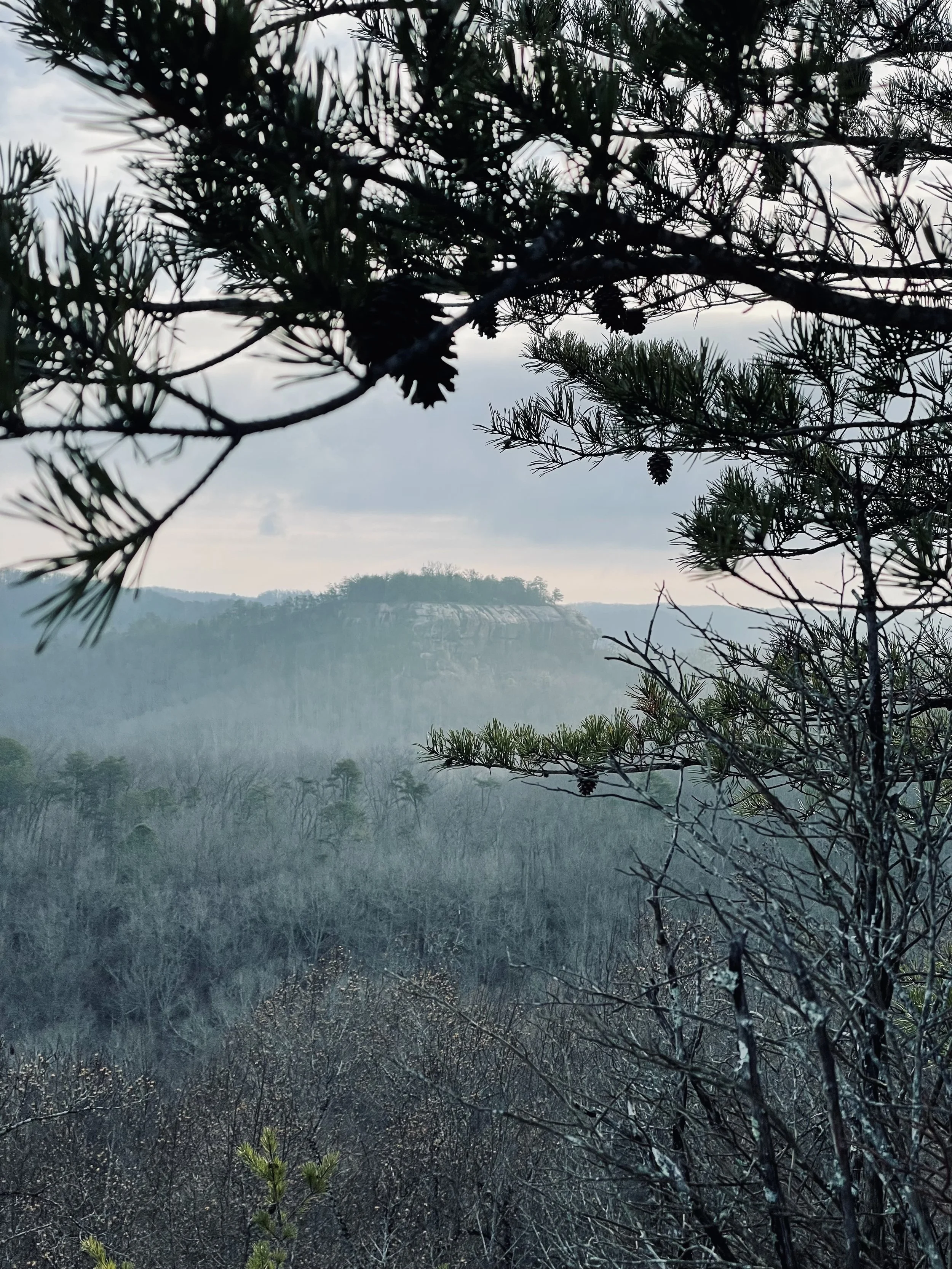 Therapeutic Portrait Photography Package