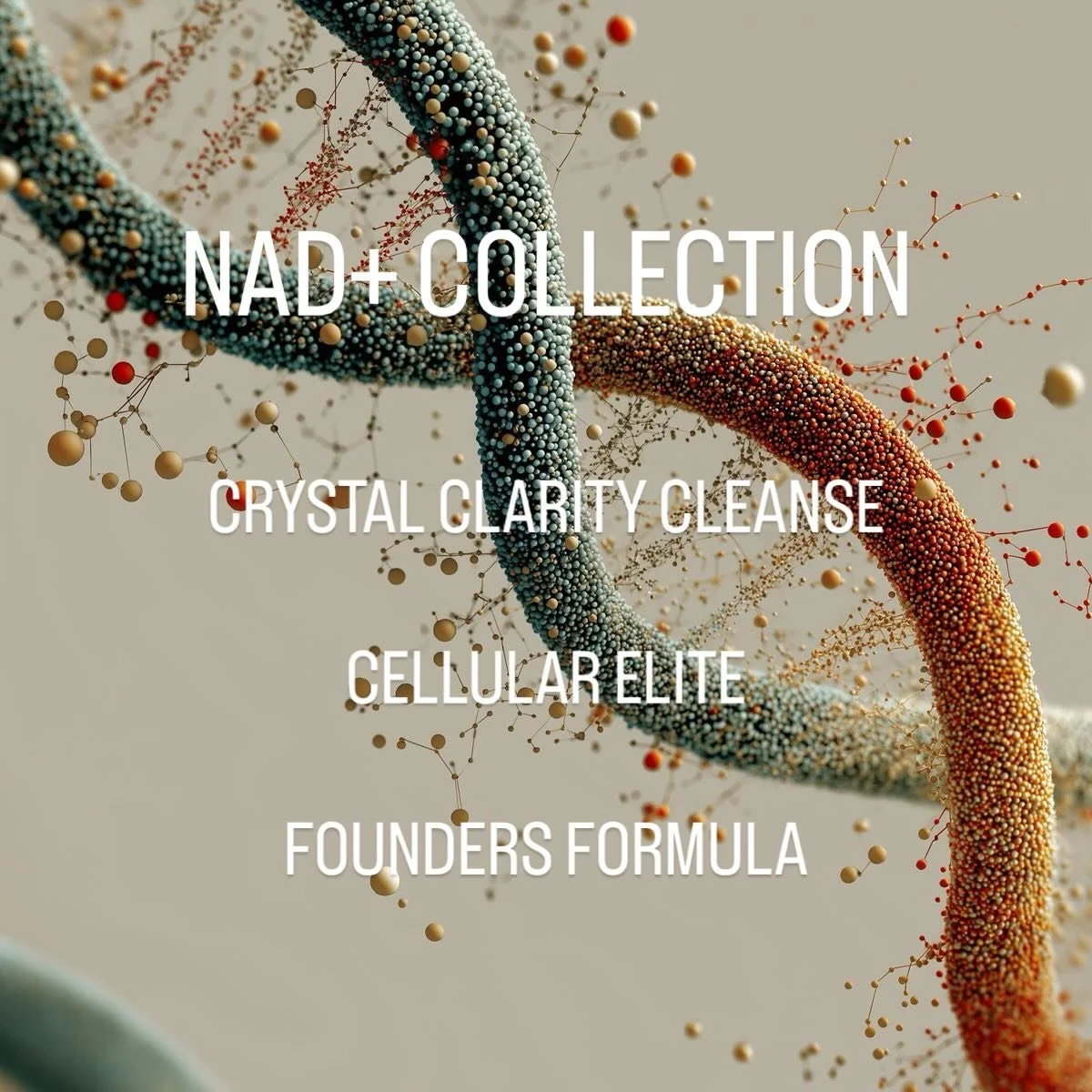Cellular restoration, redefined.

Our NAD+ Collection offers three distinct formulations designed to support cellular function with precision and intention. 

Available in-suite. By appointment. Link in bio.