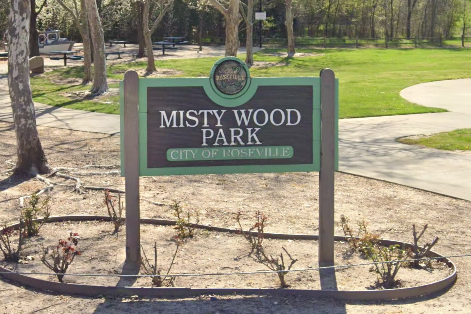 Is Your Wood Wet or Just Misty? (#1716)