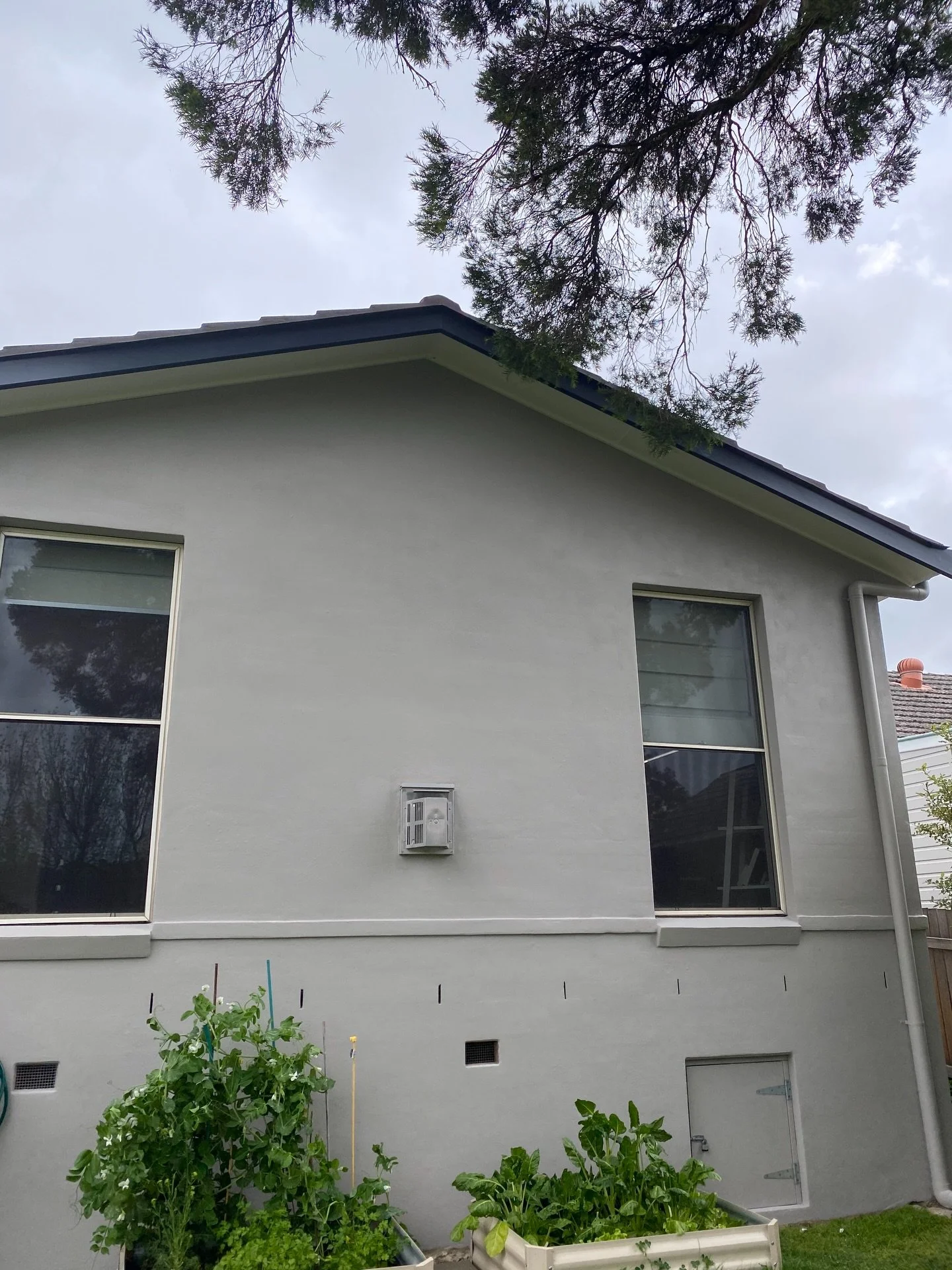 Bringing new life to old wall