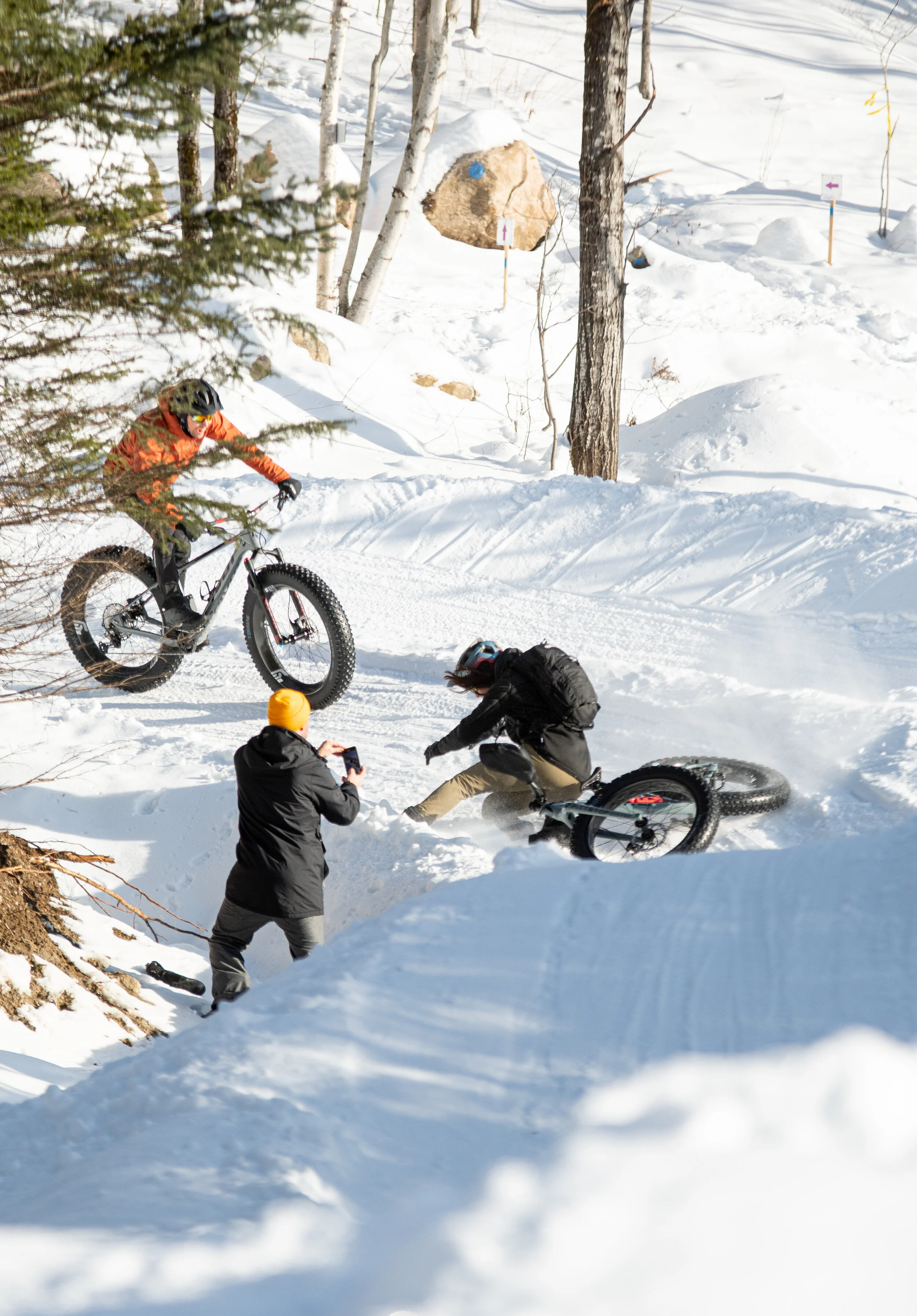 DSC_0296_Crash.jpg