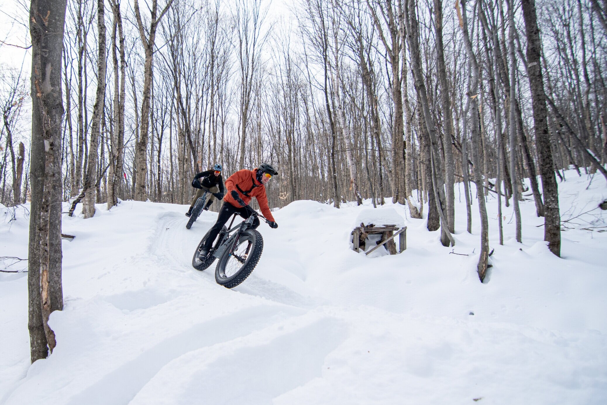 Fatbike Empire 47