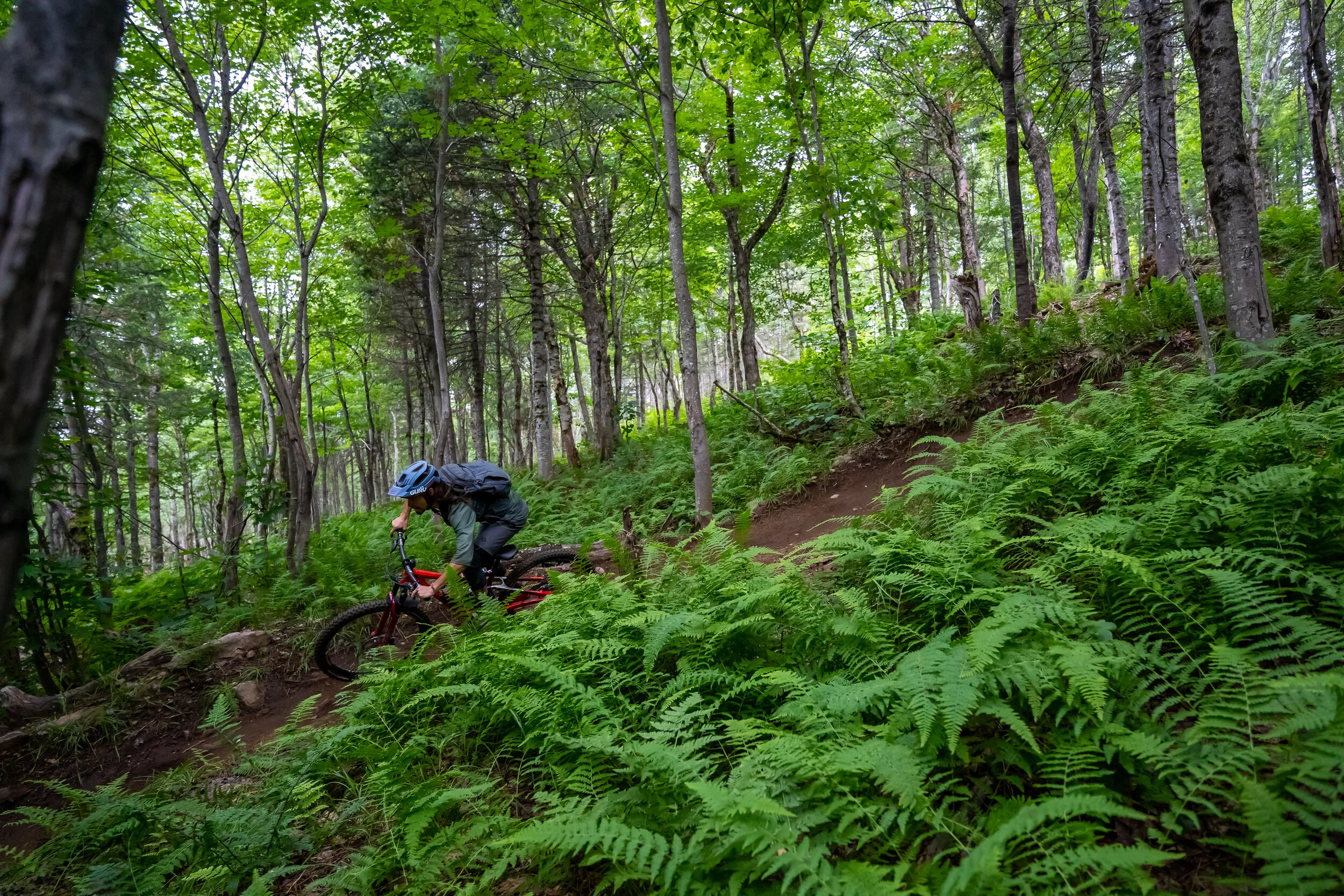 Le secteur SDM, piste LB2 // Photo Gabriel Gakwaya de MTBQC