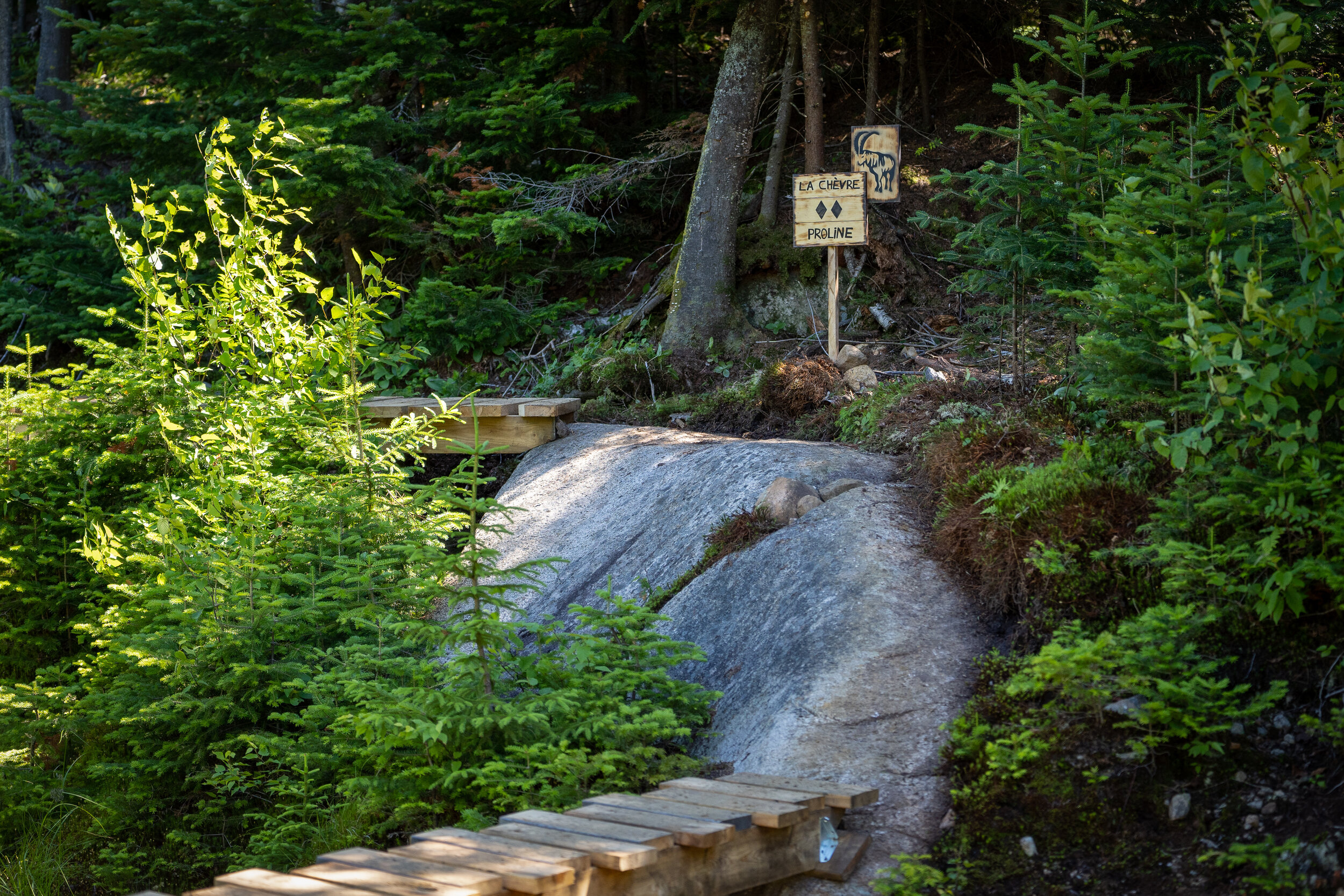 Les concepteurs se sont amusés à intégrer sur les côtés de la piste Crête de Lynx une section double noire qu’on a nommé La Chèvre // Photo Gabriel Gakwaya de MTBQC
