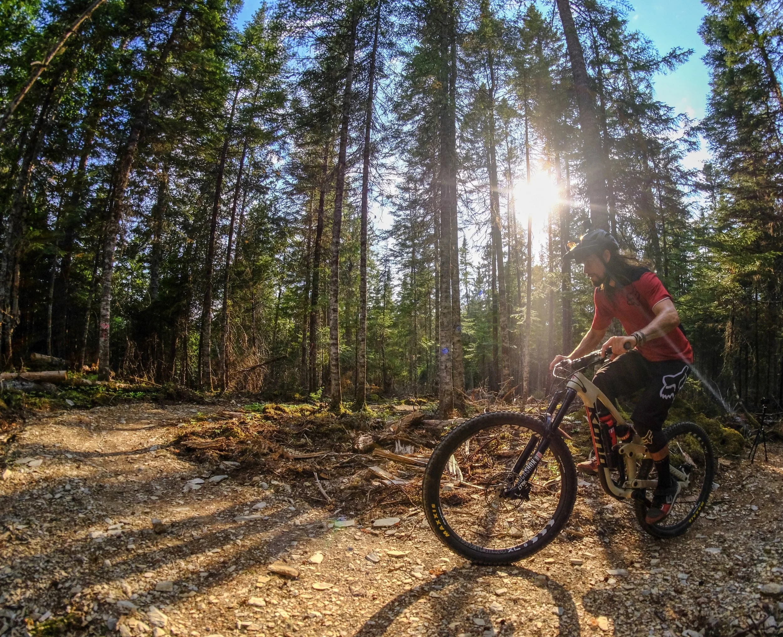 Golden hour au bas de la piste Les Pins // Photo Jean-Philippe Dasilva