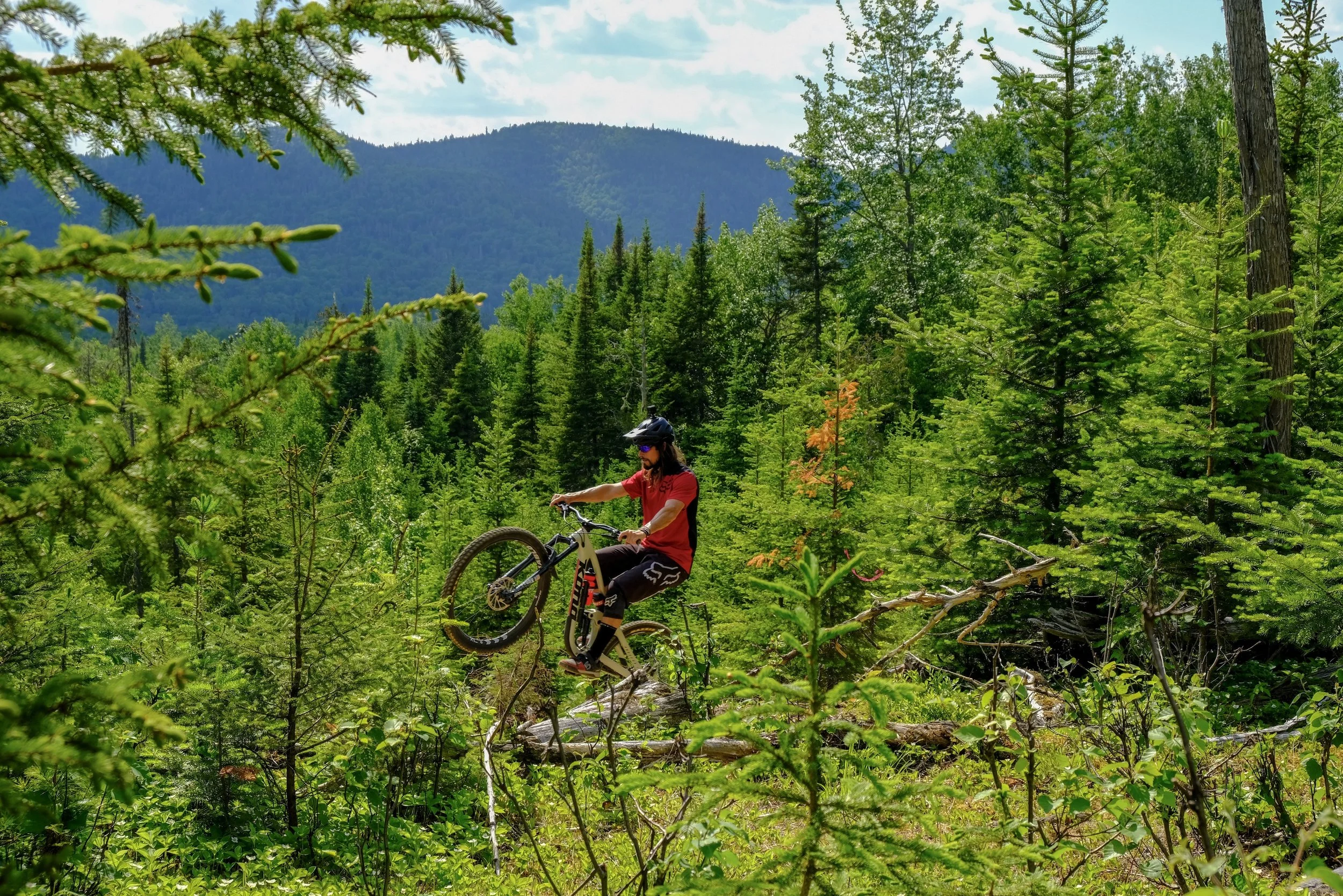 Destination Pin Rouge, Gaspésie