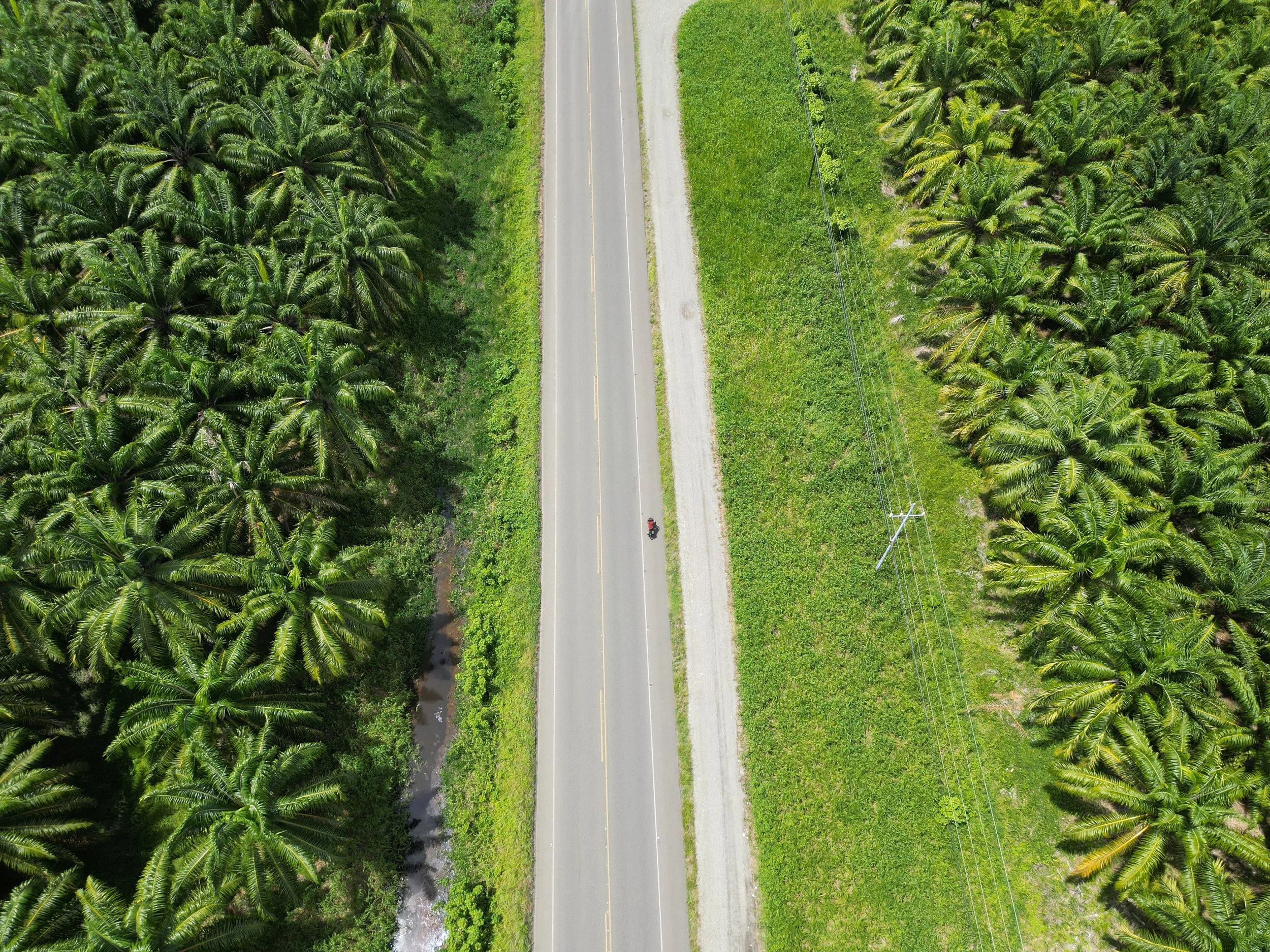 DJI_0232.JPG