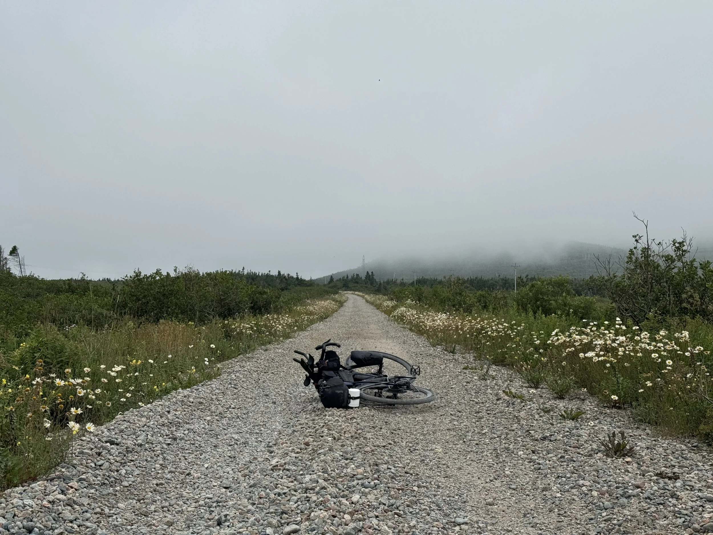 IMG_4877_Brume.jpeg