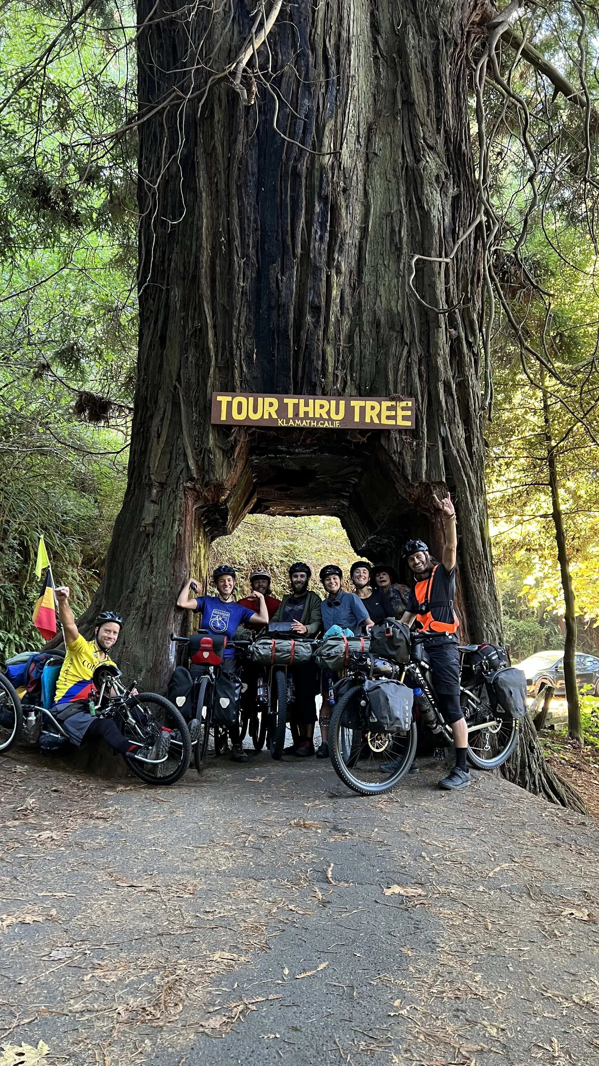 IMG_1806_Tour_Thru_Tree.jpeg