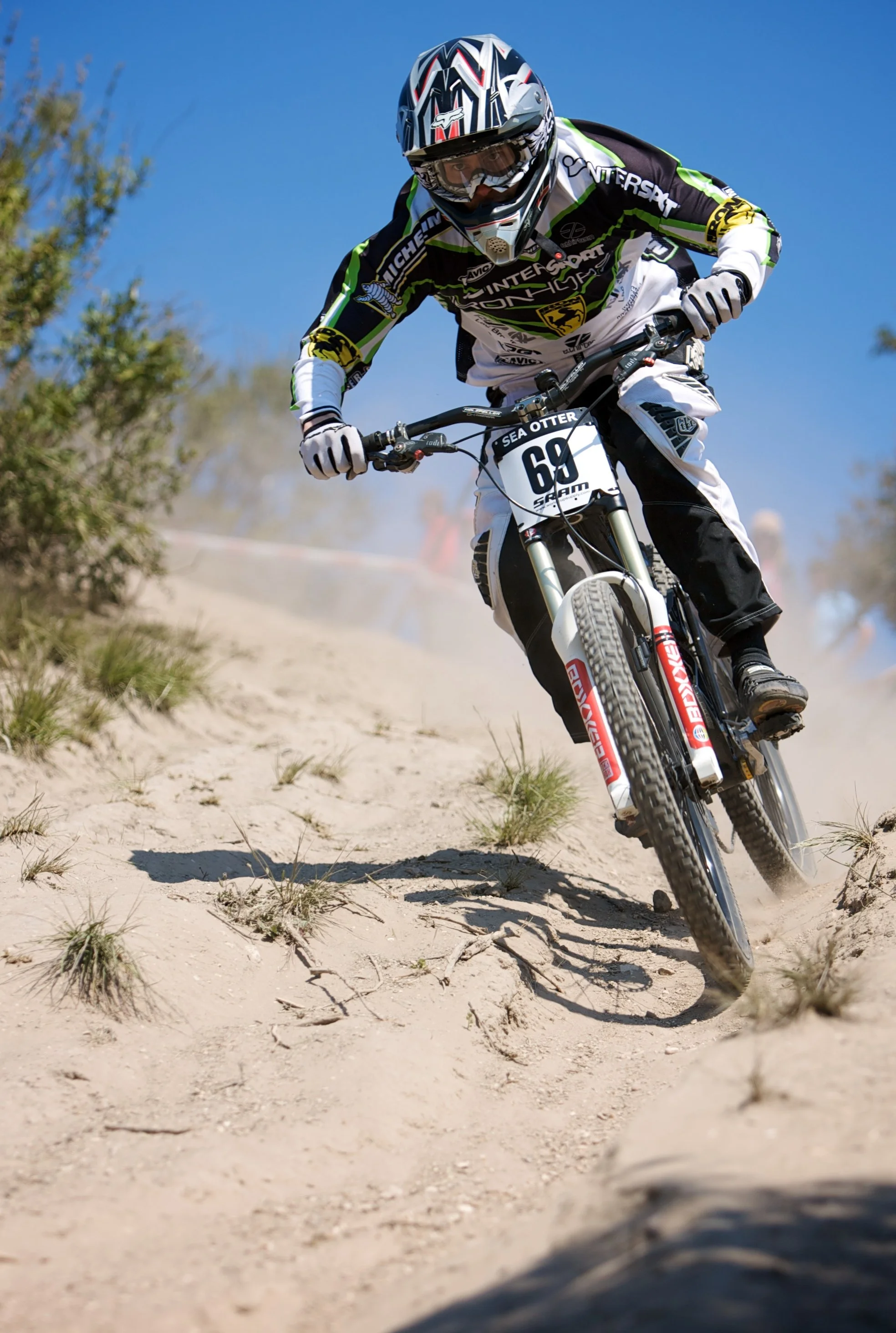 2008 Sea Otter California Dom-M  1103.jpg