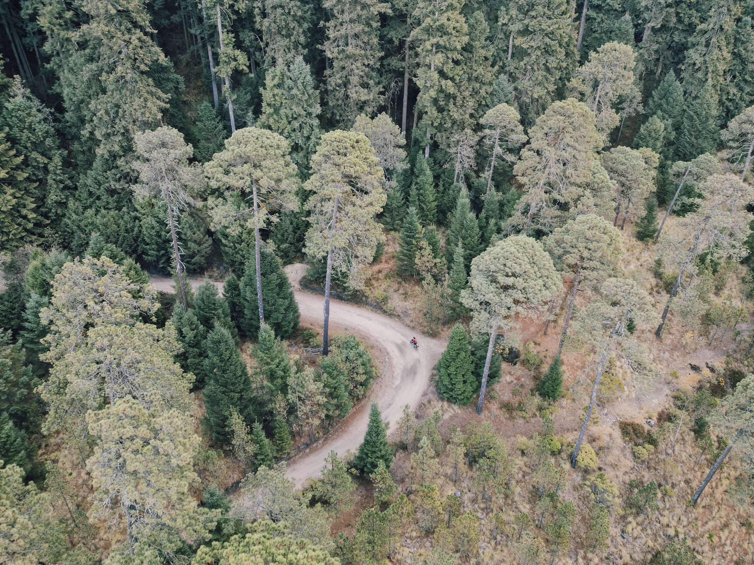 DJI_0464_Edited.JPG