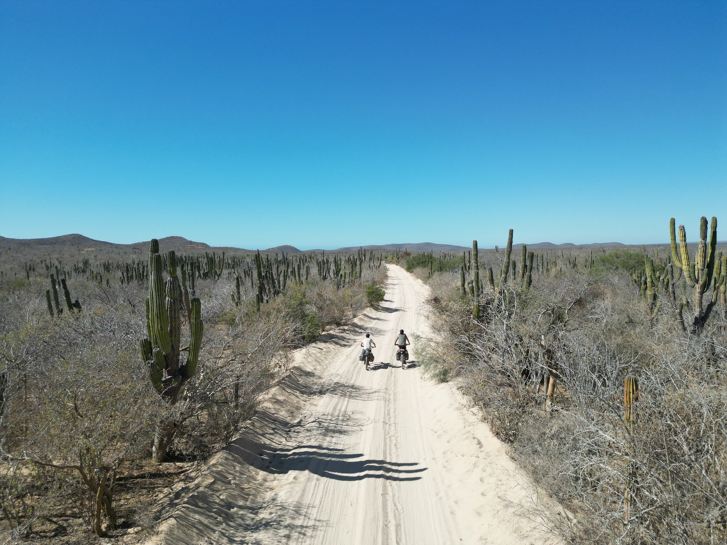 2023-12-06 DJI_0949.JPG