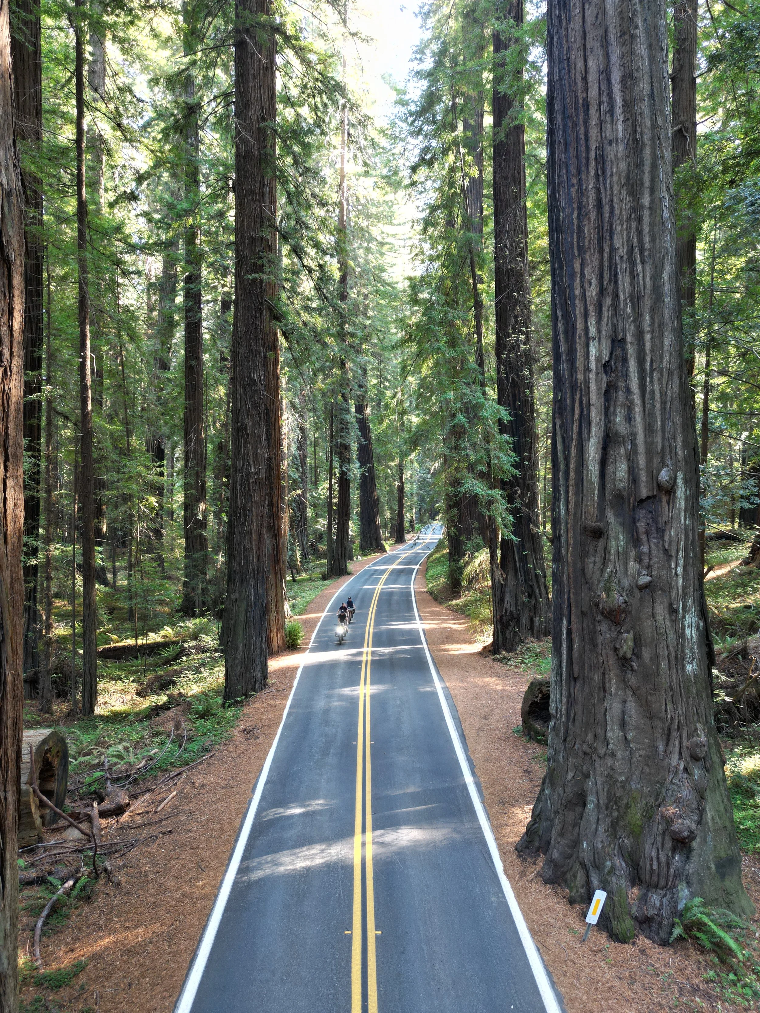 Giant avenue, California  · 2022.10.11 · KM 21 910