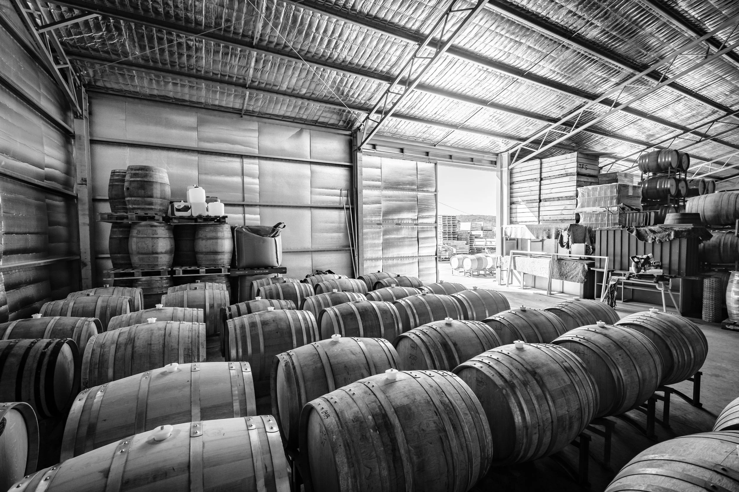 A warehouse filled with stacked wooden barrels, some on racks and some on the floor, with sunlight coming through an open door.