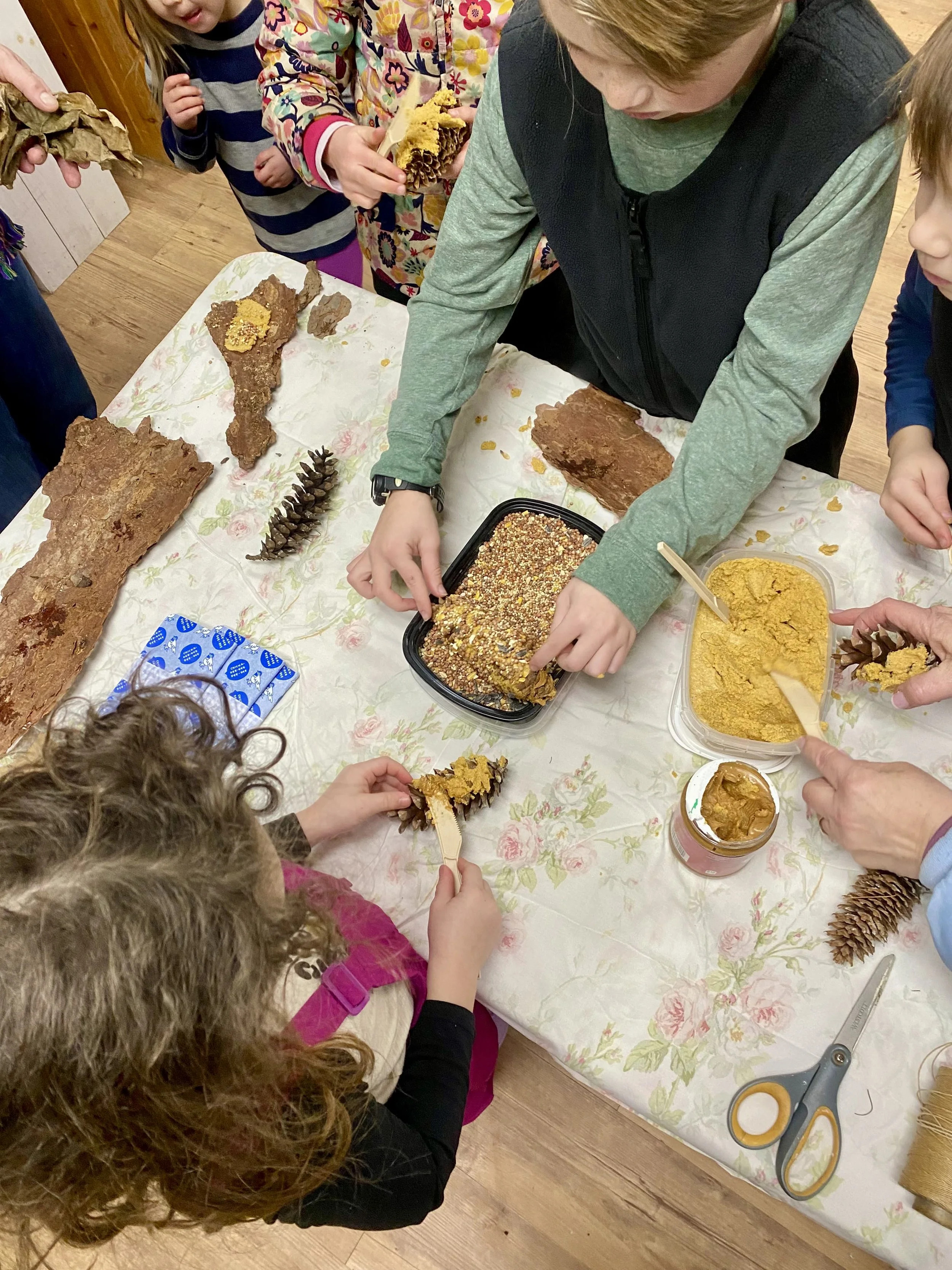 February 7, 2026: Birding for Kids: DIY Pinecone Feeder