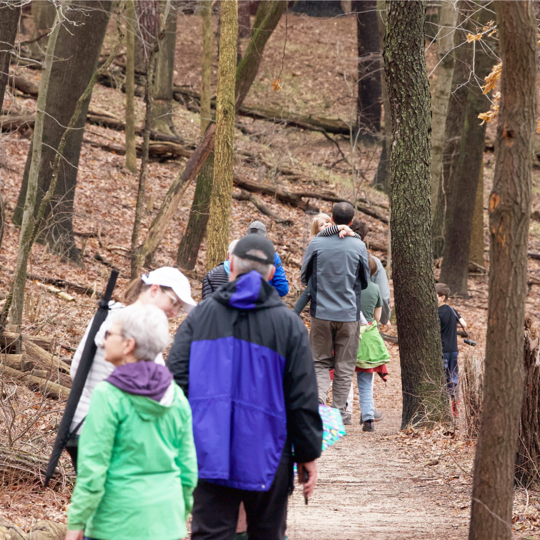 March 7, 2026: The Woodpeckers of Kleinstuck