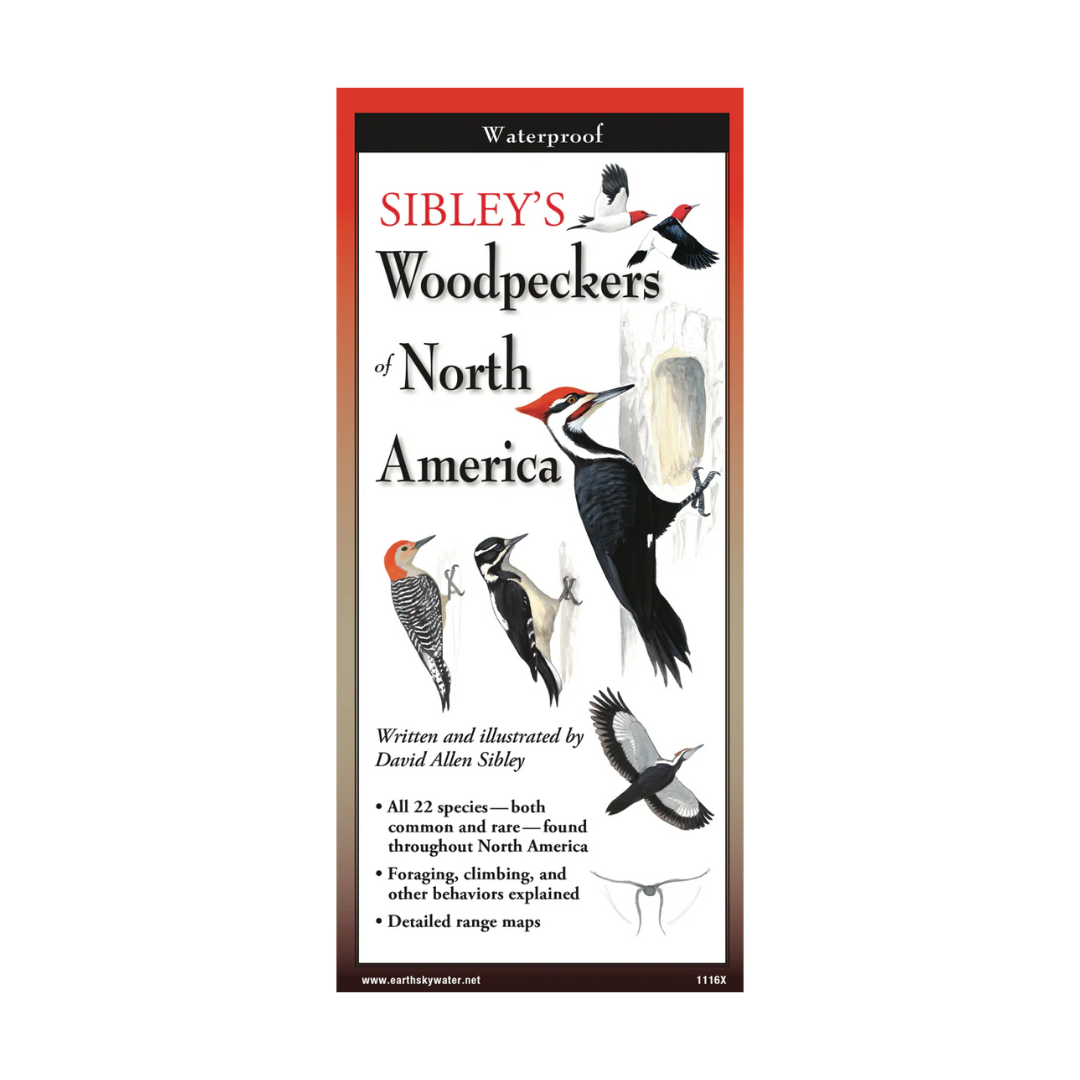 Sibley's Woodpeckers of North America Folding Guide