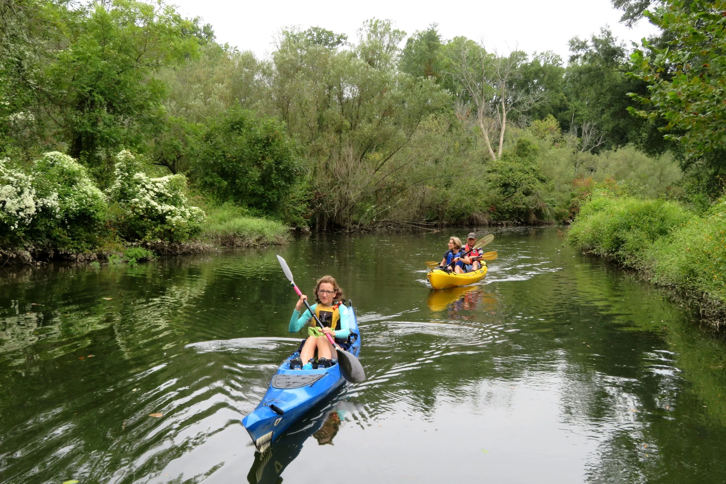 Kayaking + Birding