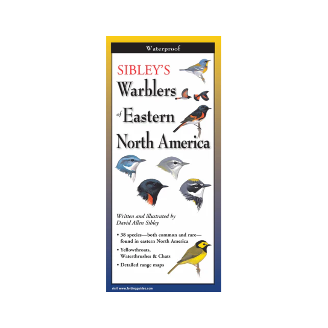 Sibley's Warblers of Eastern North America Folding Guide