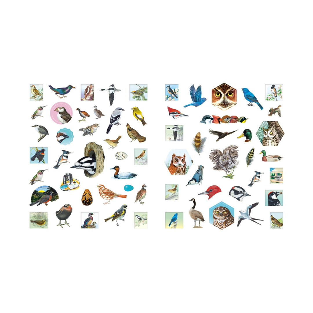 Bird Stickers 2.png