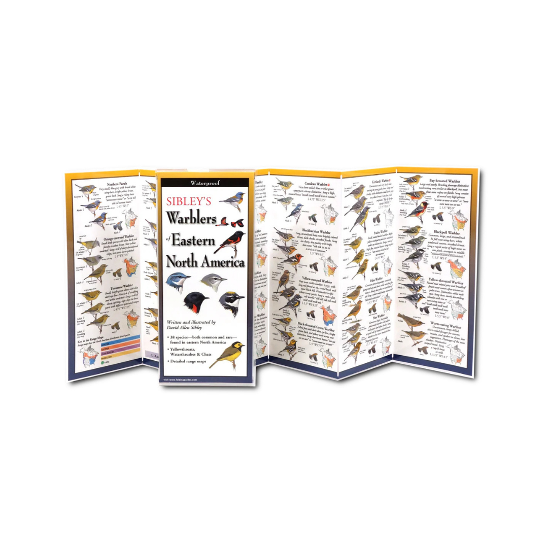 Warblers 2.png