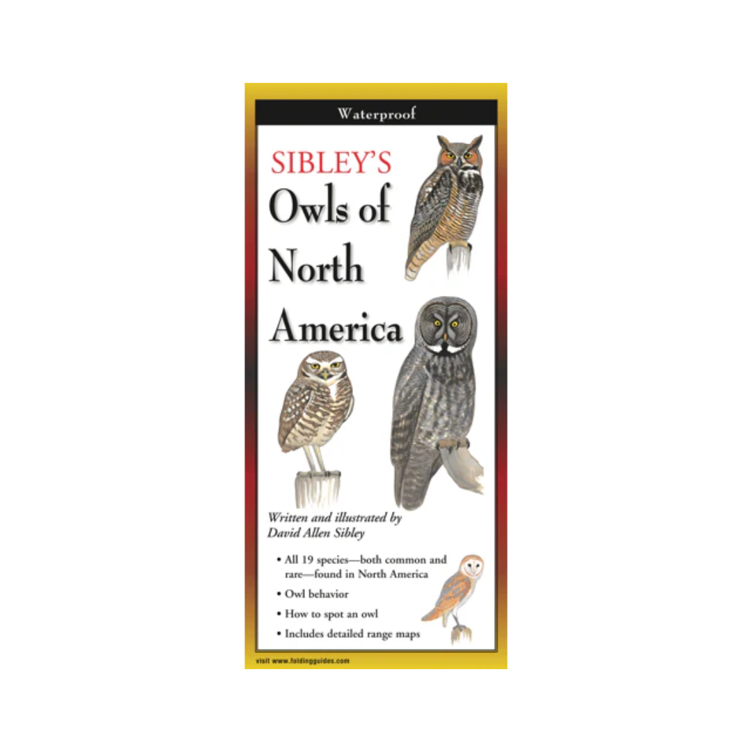 Sibley's Owls of North America Folding Guide