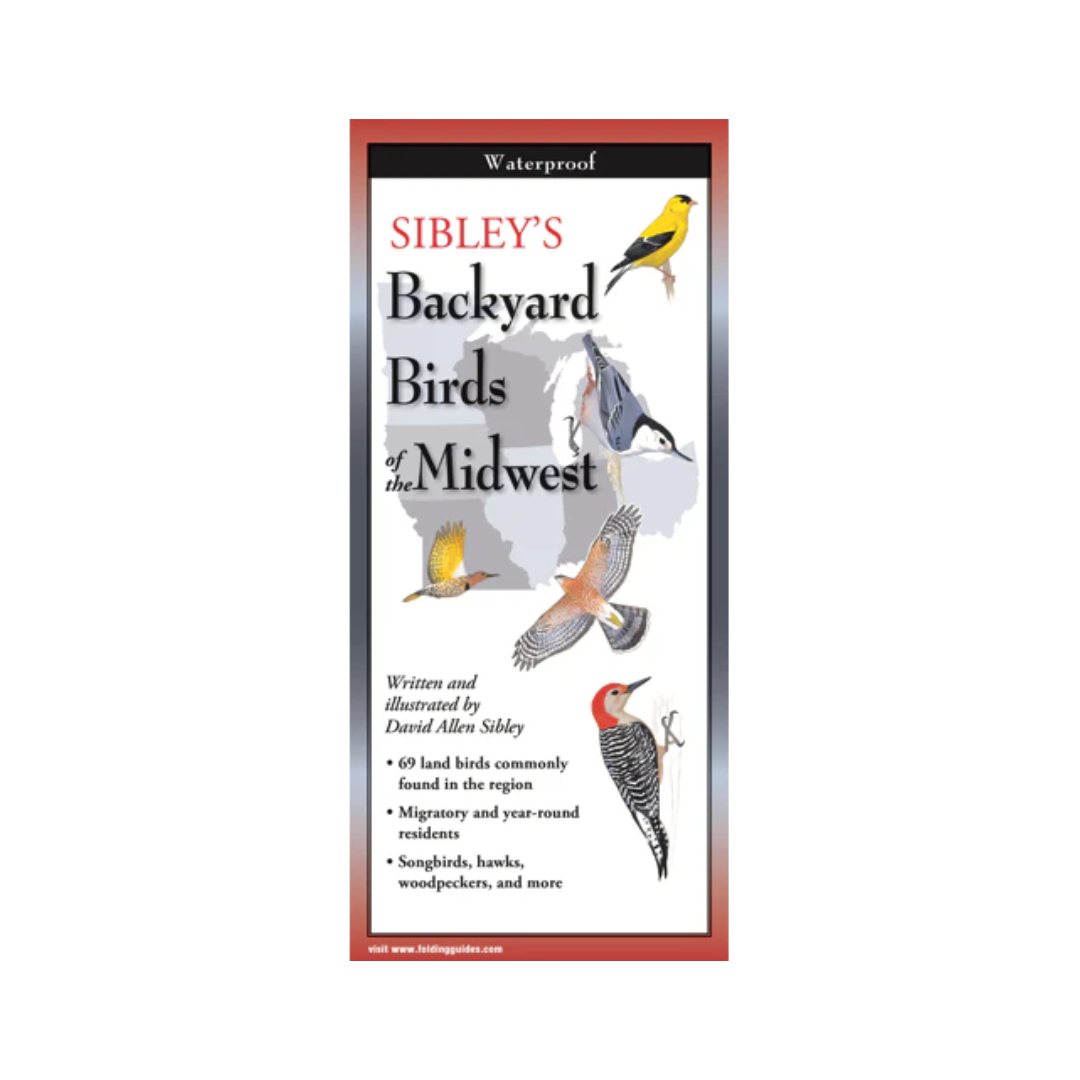 Sibley's Backyard Birds of the Midwest Folding Guide