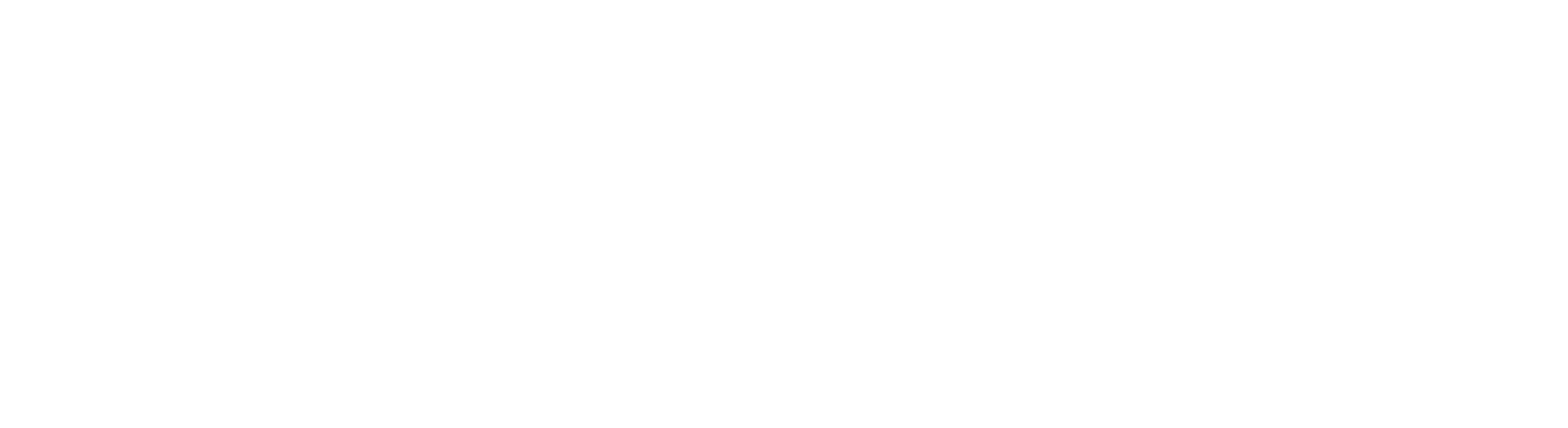 Logo for Team for West Virginia Children