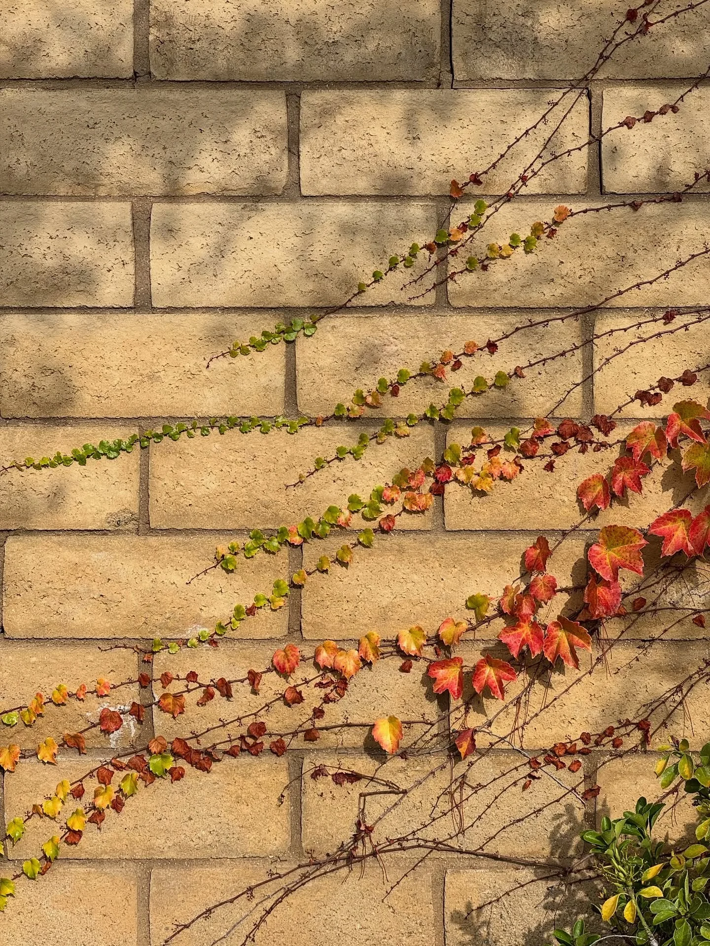 Bits and pieces of October 🎃