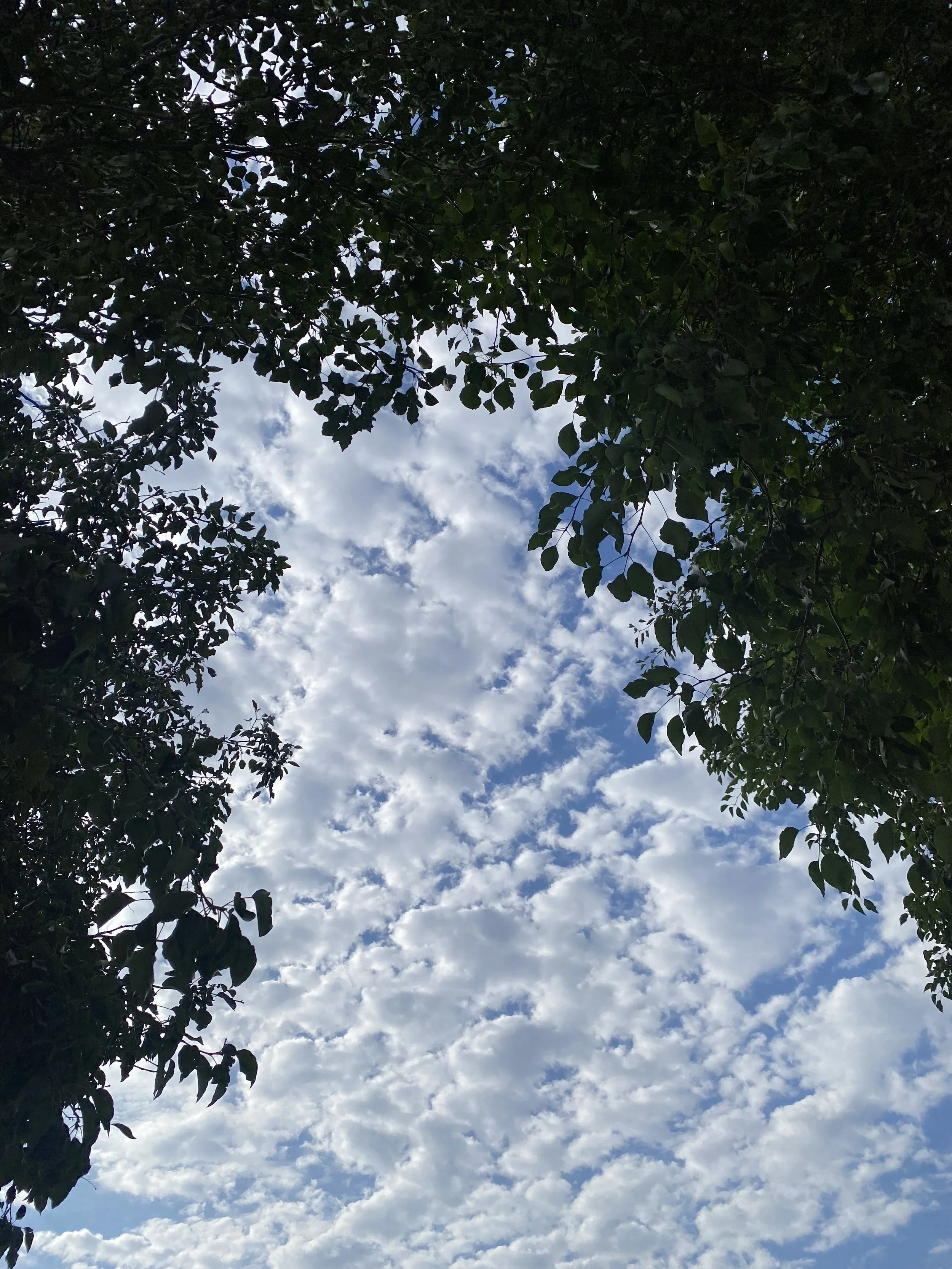 image (9).jpg