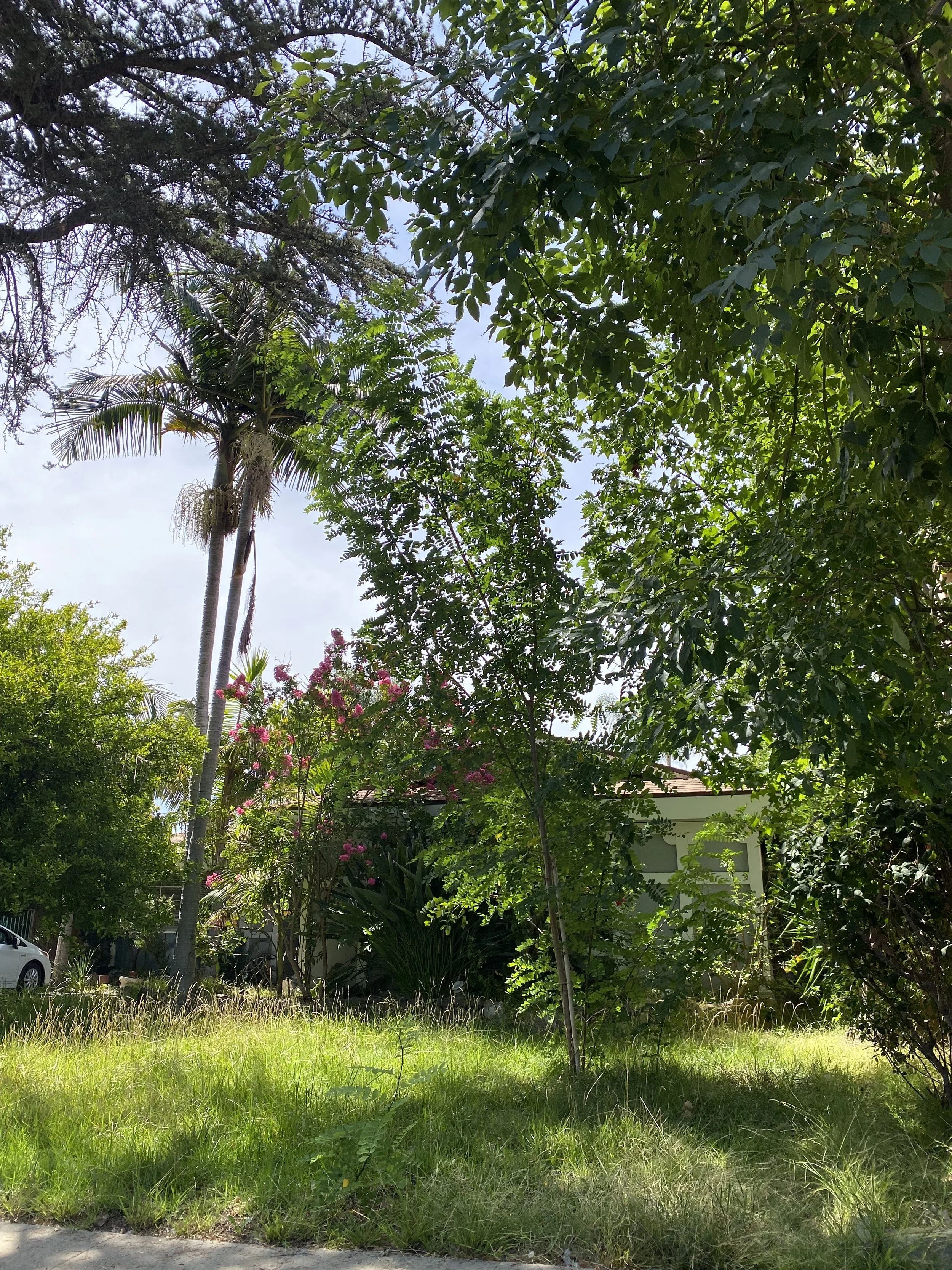 image (10).jpg