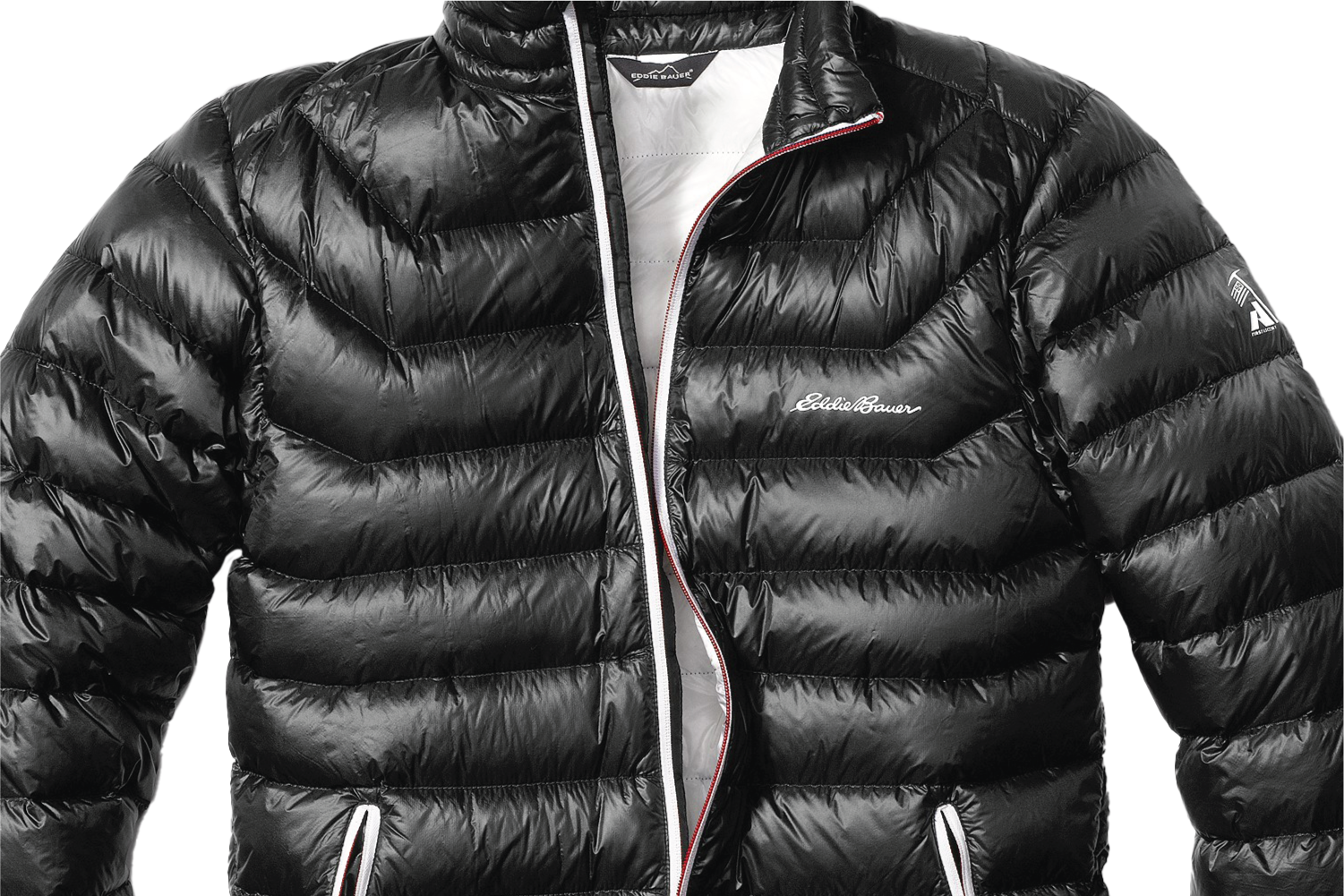 Richard Saguin Neon Skunk Eddie Bauer First Ascent Downlight 50th.png