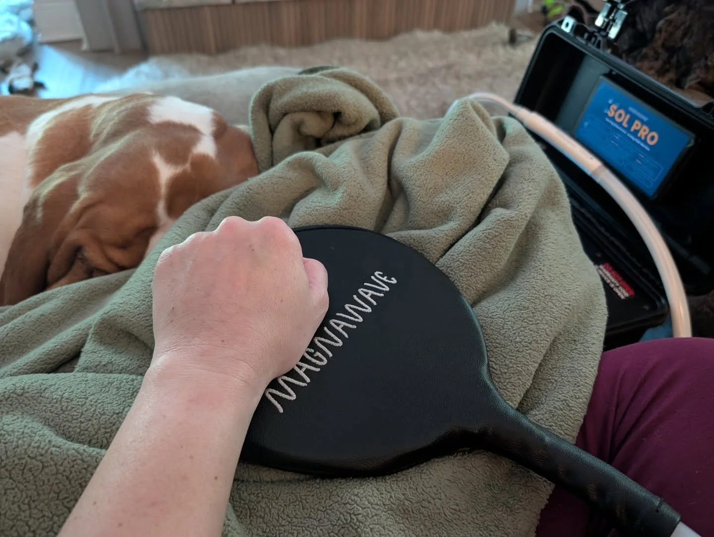 Using PEMF on my arms to help my veins calm down and actually heal after being overworked for years. The skin is closed and fully healed, so it&rsquo;s safe &mdash; and honestly it&rsquo;s been a huge help with circulation and irritation. I&rsquo;m a