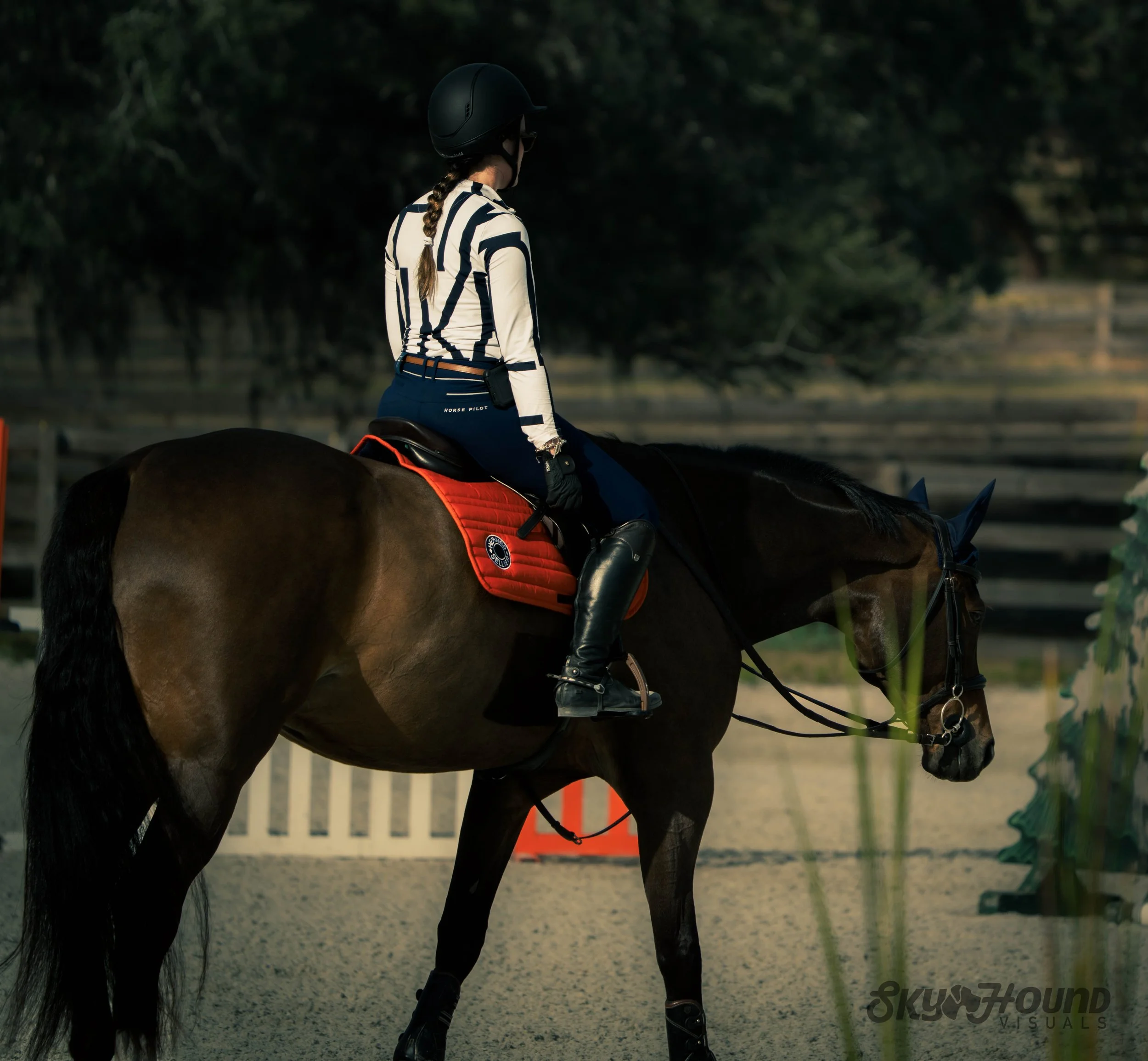 Pre Event Horse Session PEMF Treatment in Central Florida