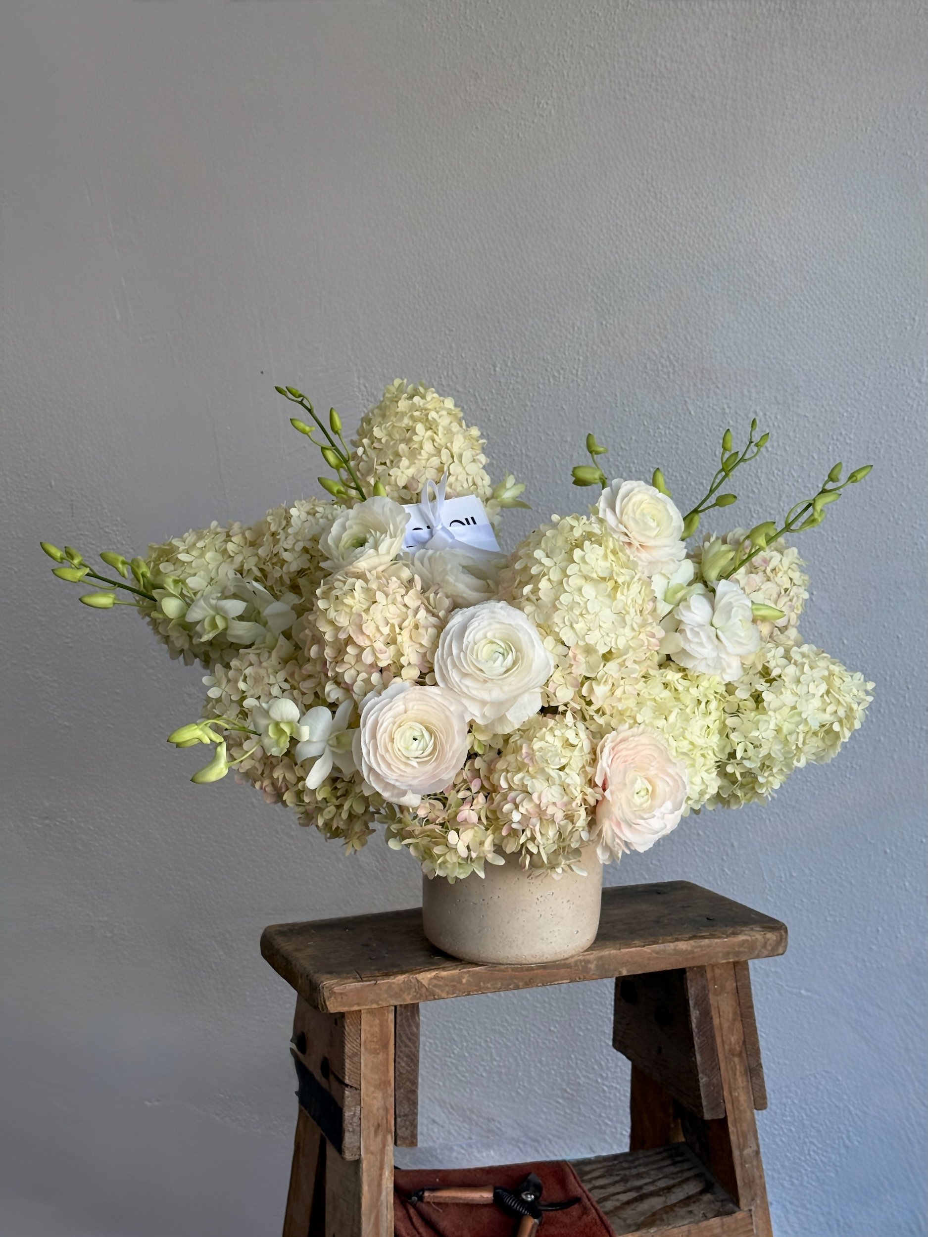 Soft Ivory