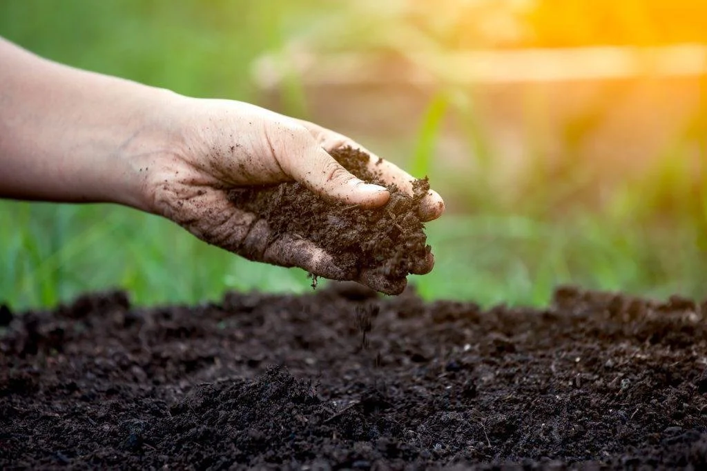 Free Compost Giveaway