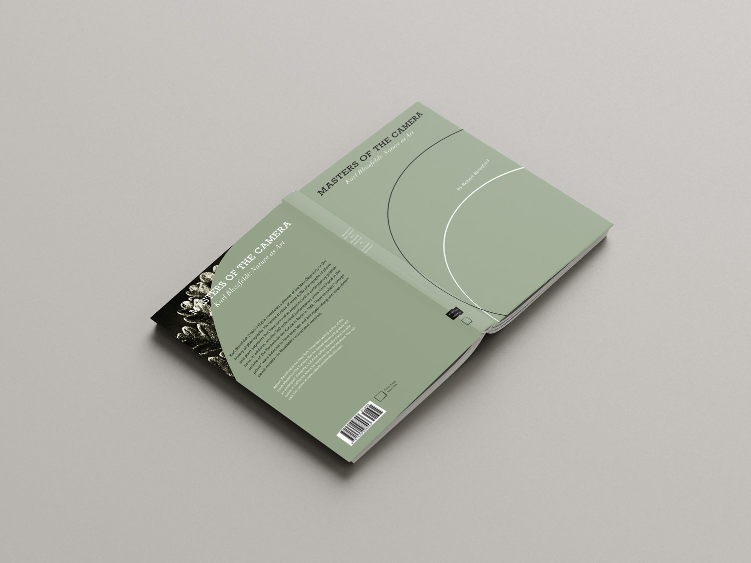 Book_Mockup_cOVER.png