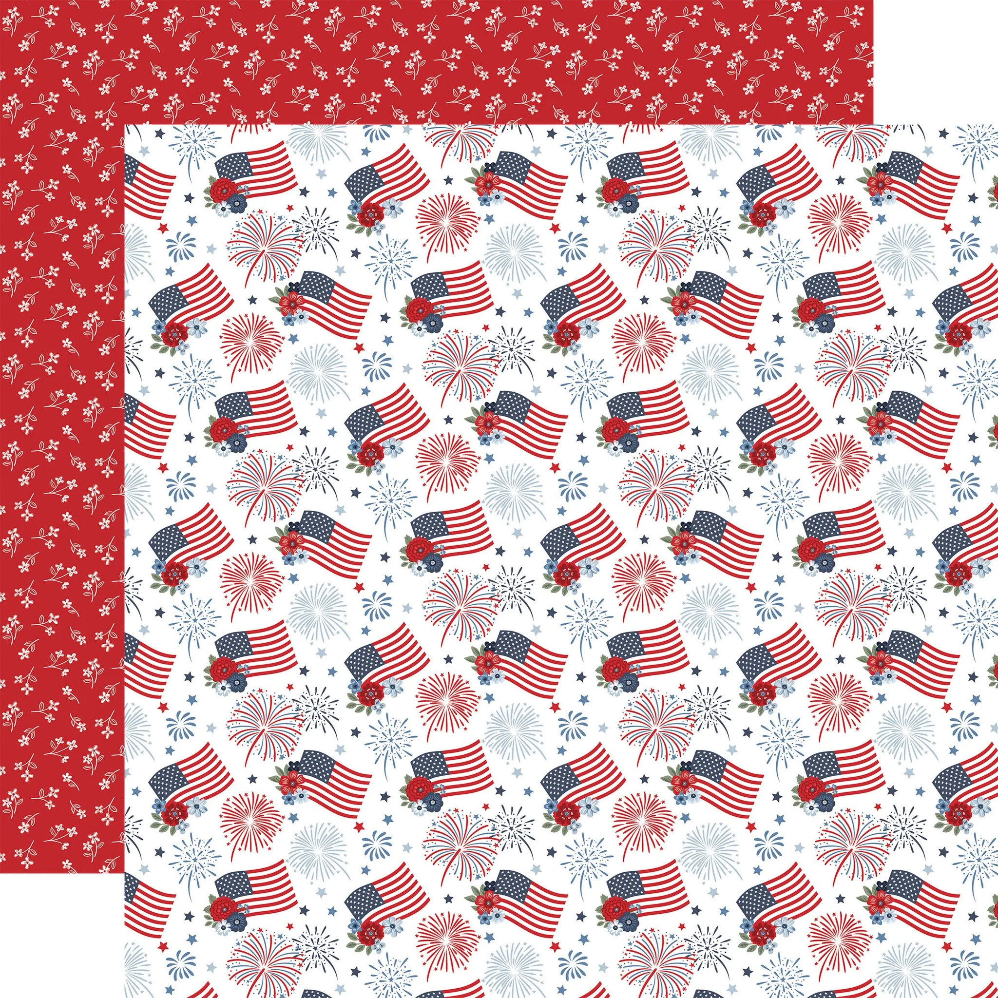 ALL501004_Fireworks_And_Flags__53301.jpg