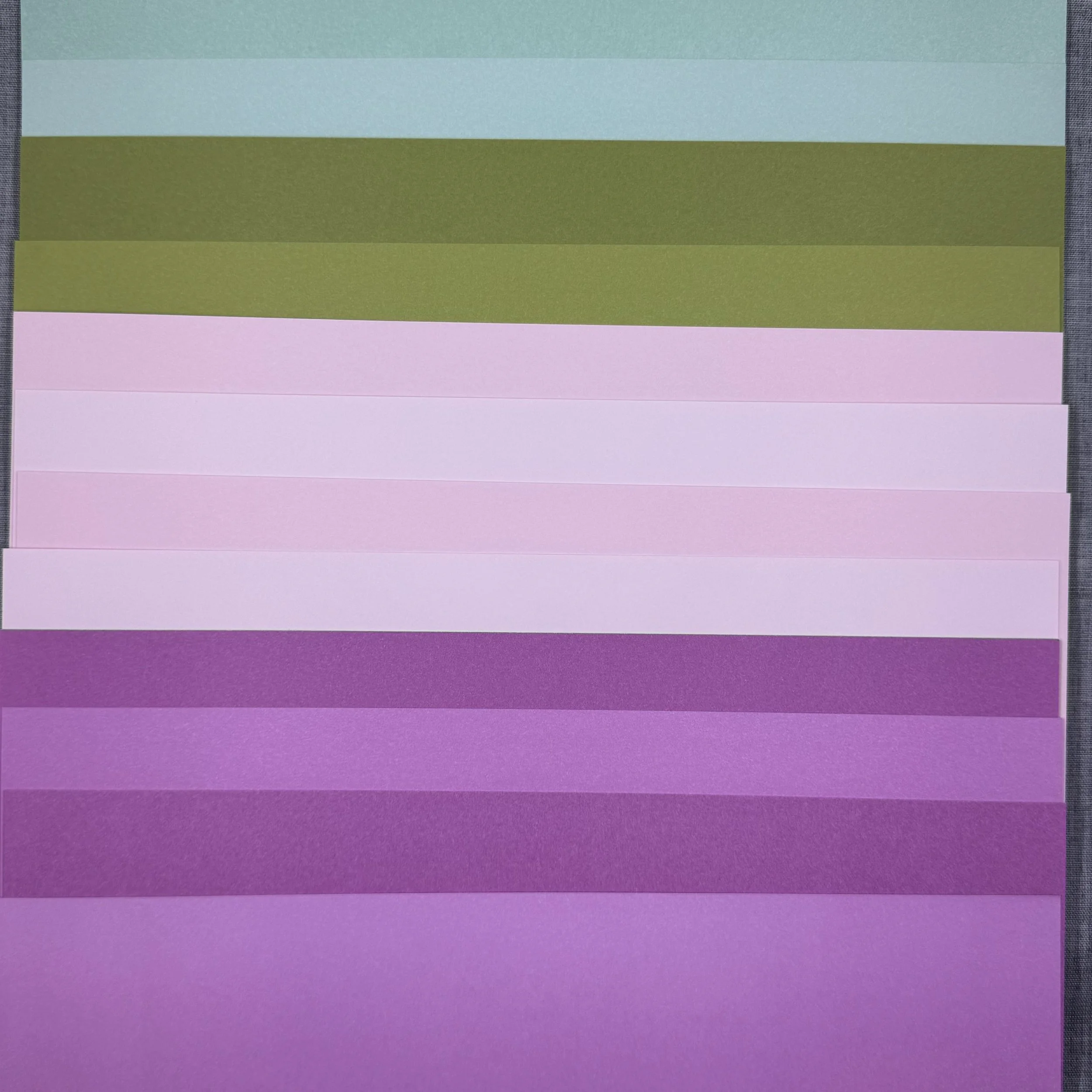 Cute As Can Bee Cardstock