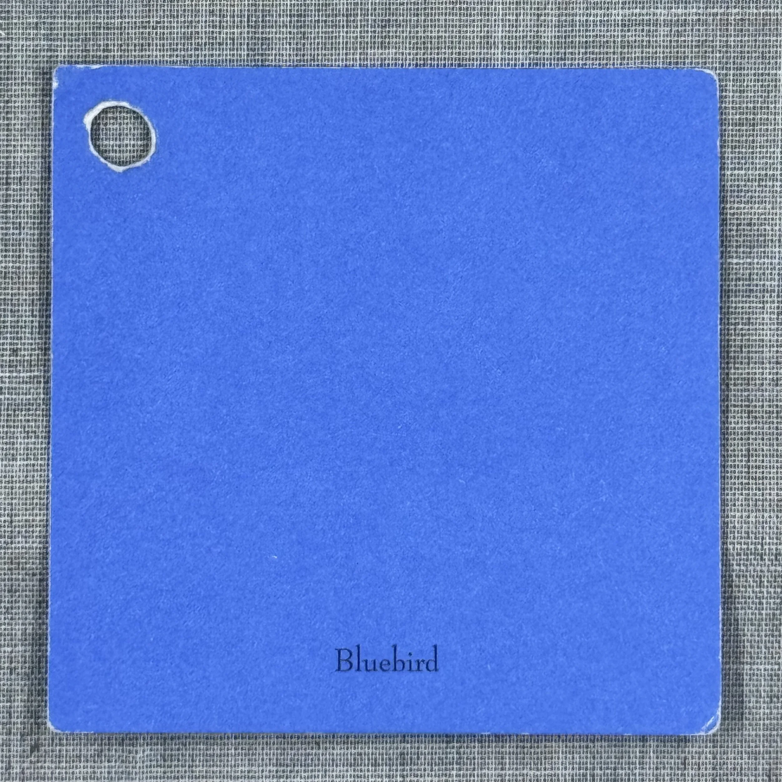 CTMH Cardstock