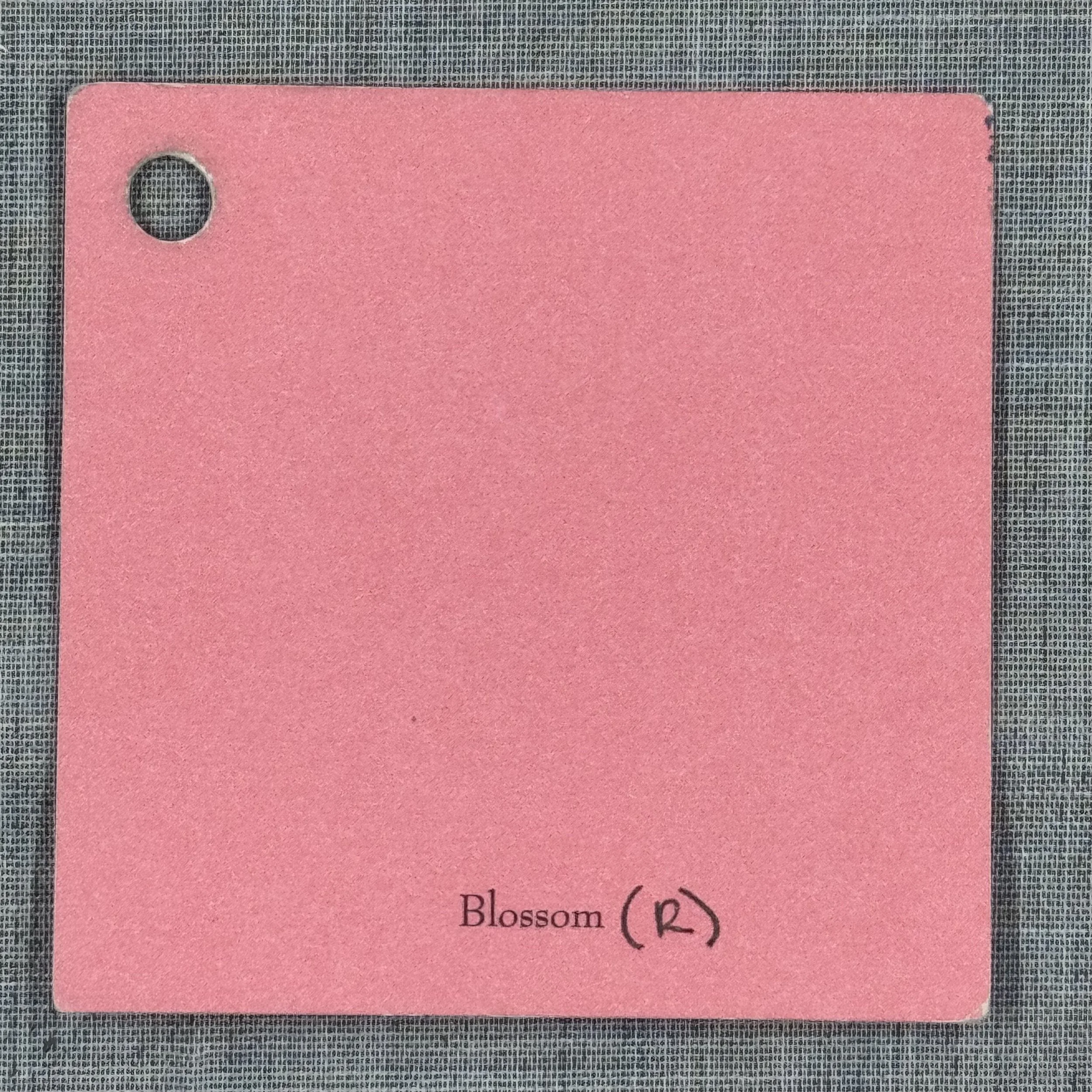 CTMH Cardstock