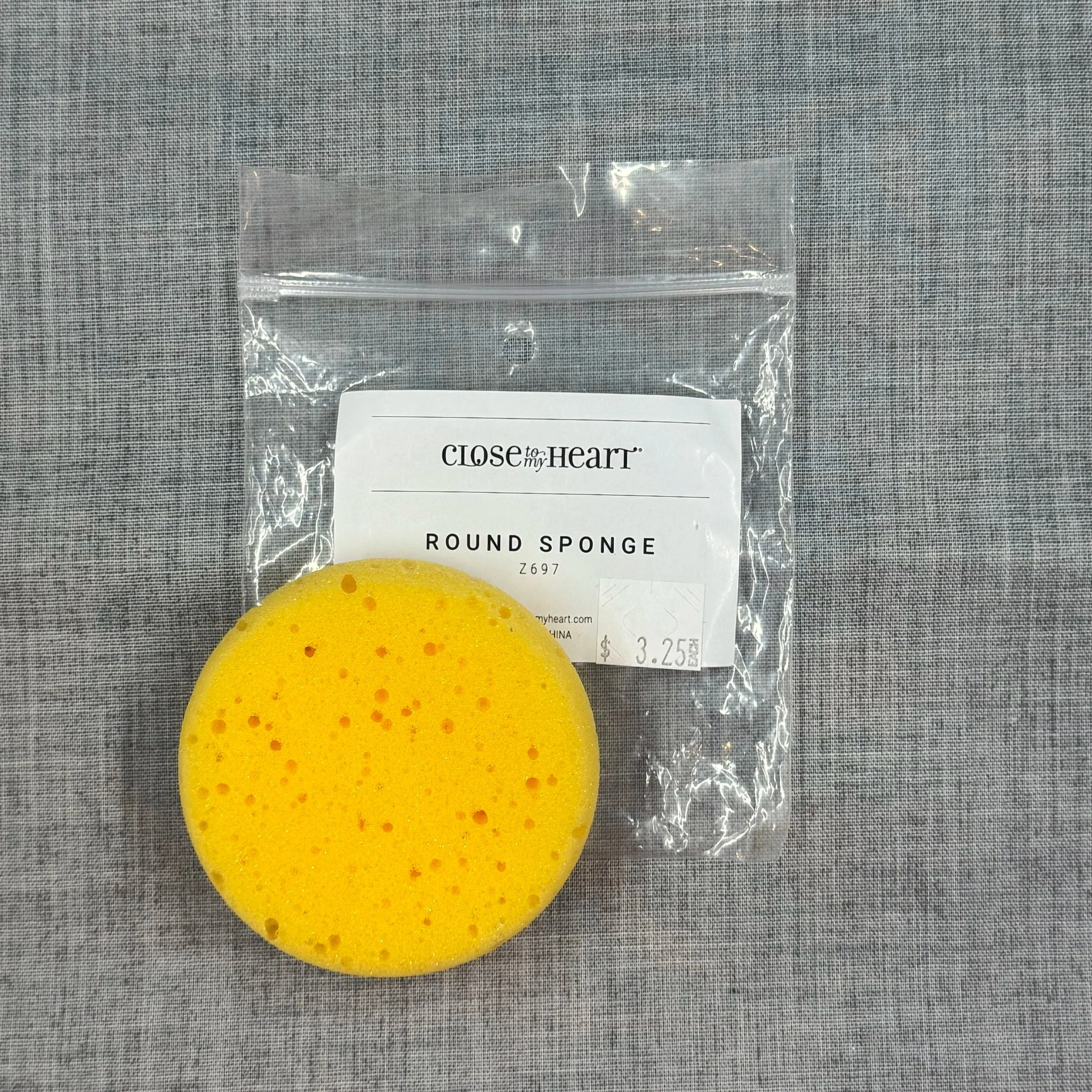 Round Sponge