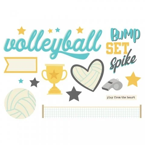15946_PagePieces_Volleyball.jpg