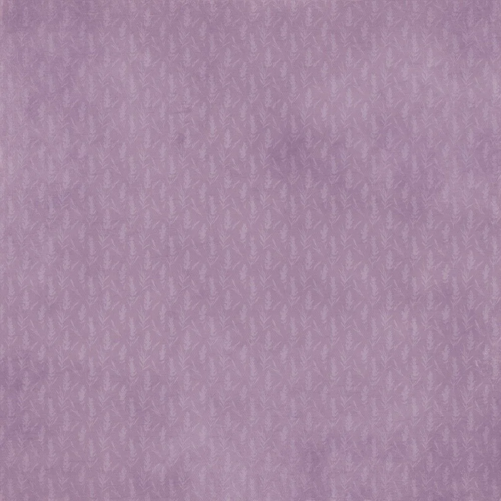 736519DT2.jpg