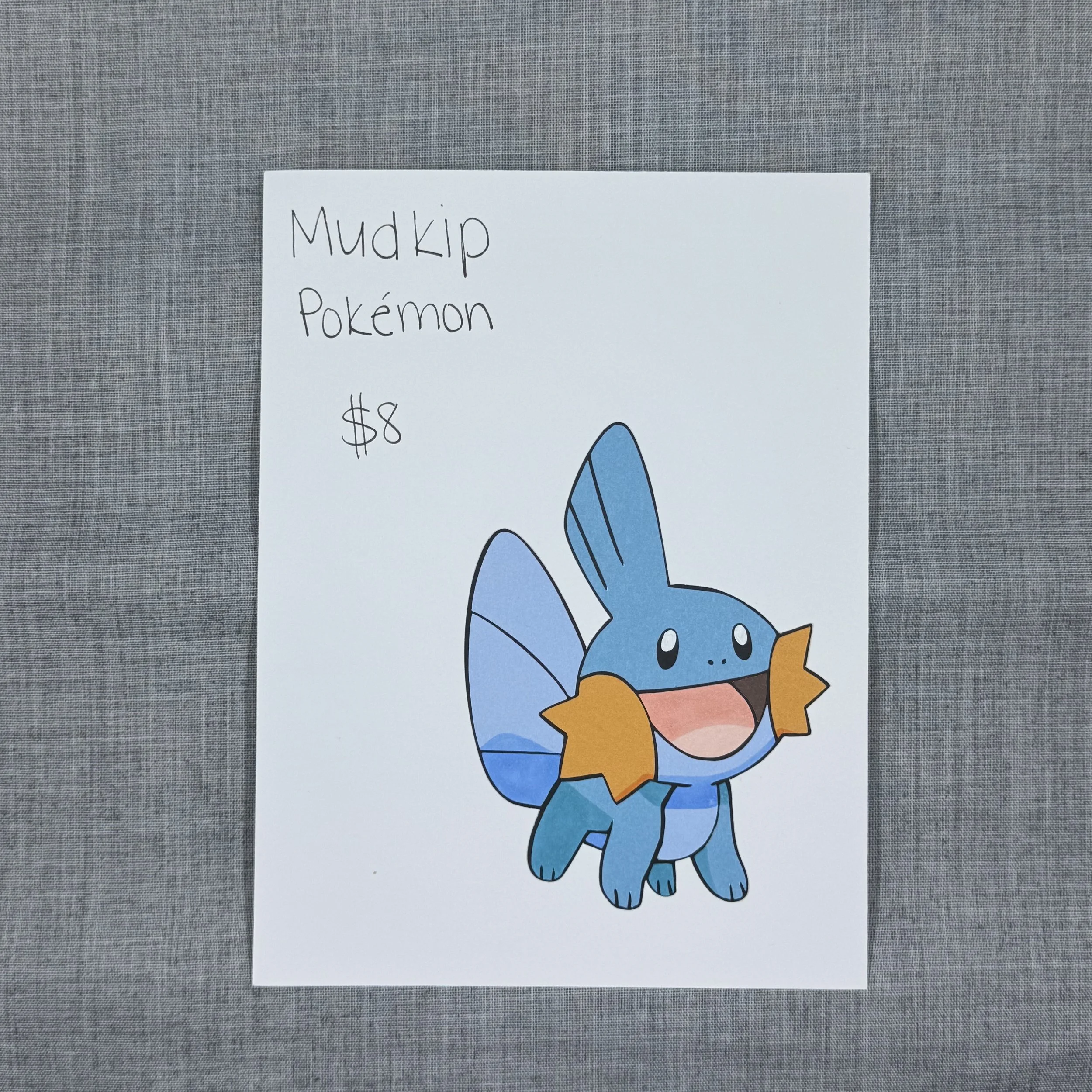 Mudkip Pokemon