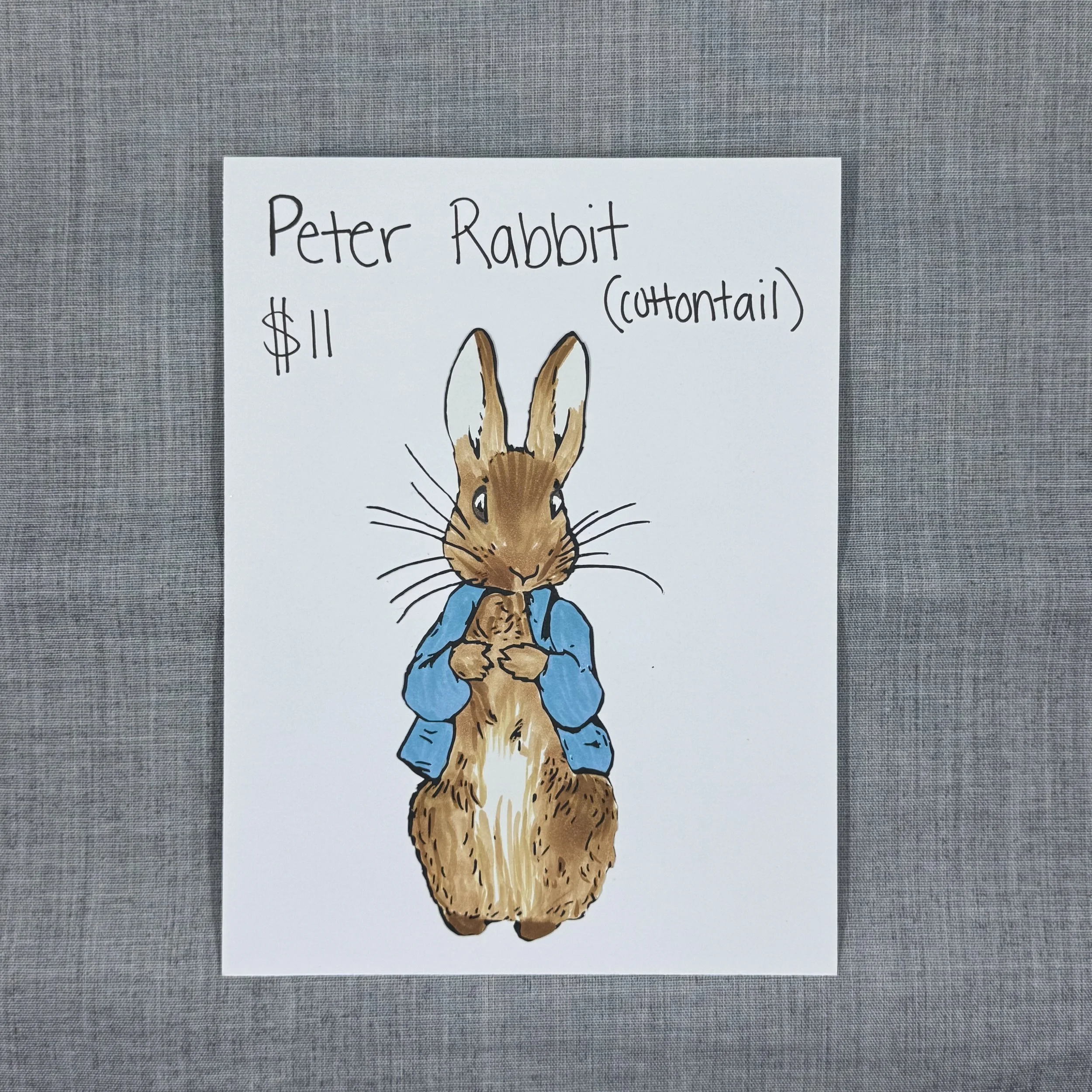 Peter Rabbit (Cottontail)