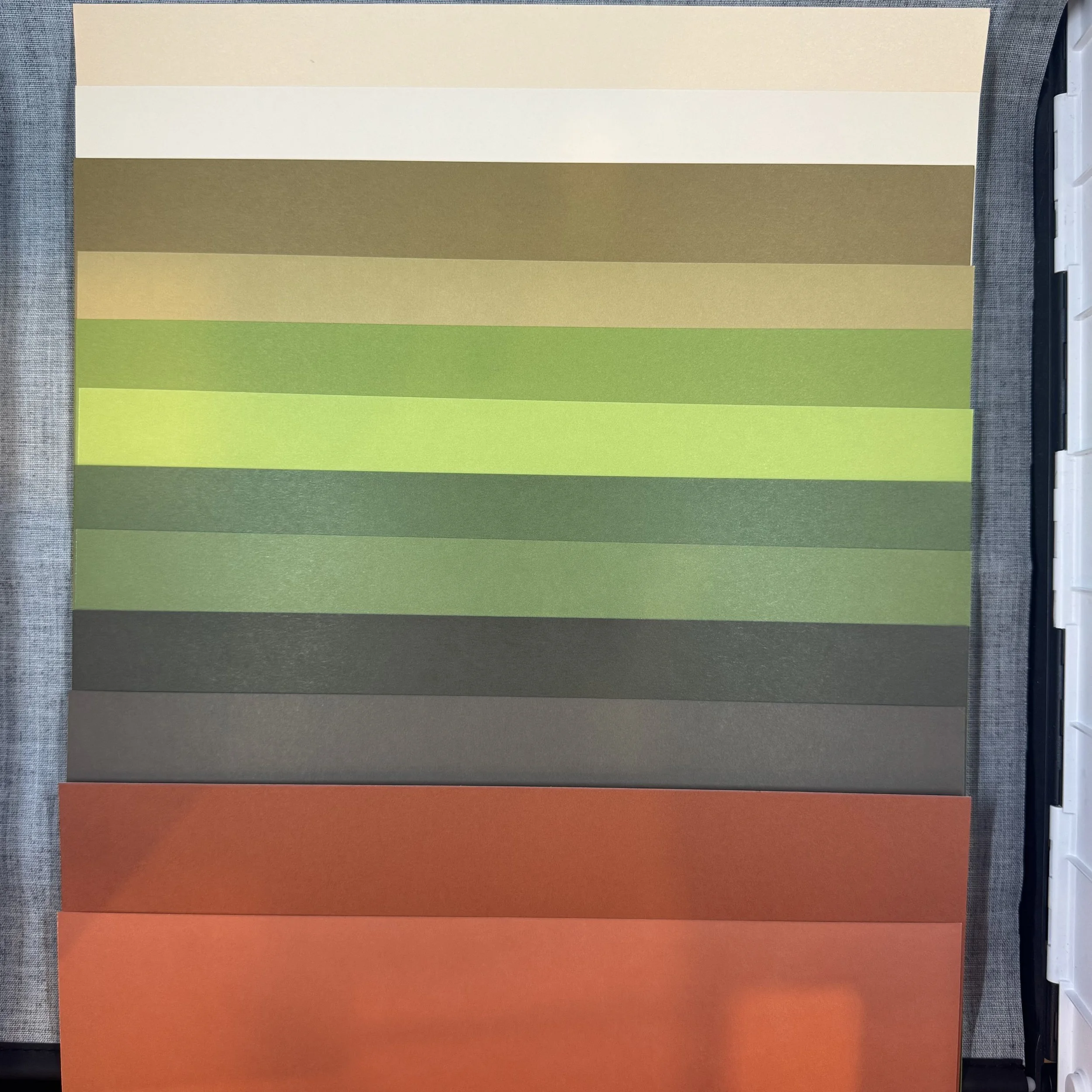 Sweet Days of Autumn Cardstock